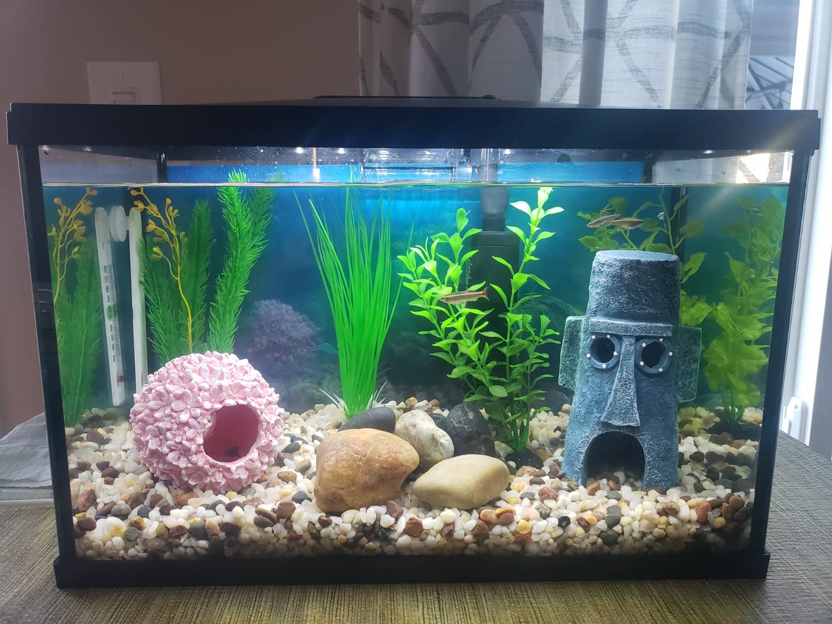 Marina 5 Gallon LED Aquarium Kit | Ideal for Beginner Aquarists and New Fish-Keepers customer photo 1