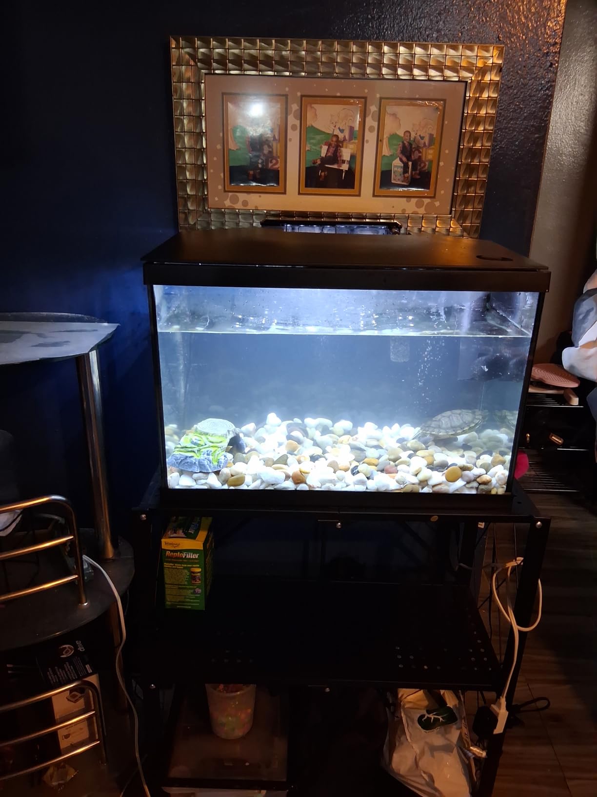 Marina 5 Gallon LED Aquarium Kit | Ideal for Beginner Aquarists and New Fish-Keepers customer photo 2