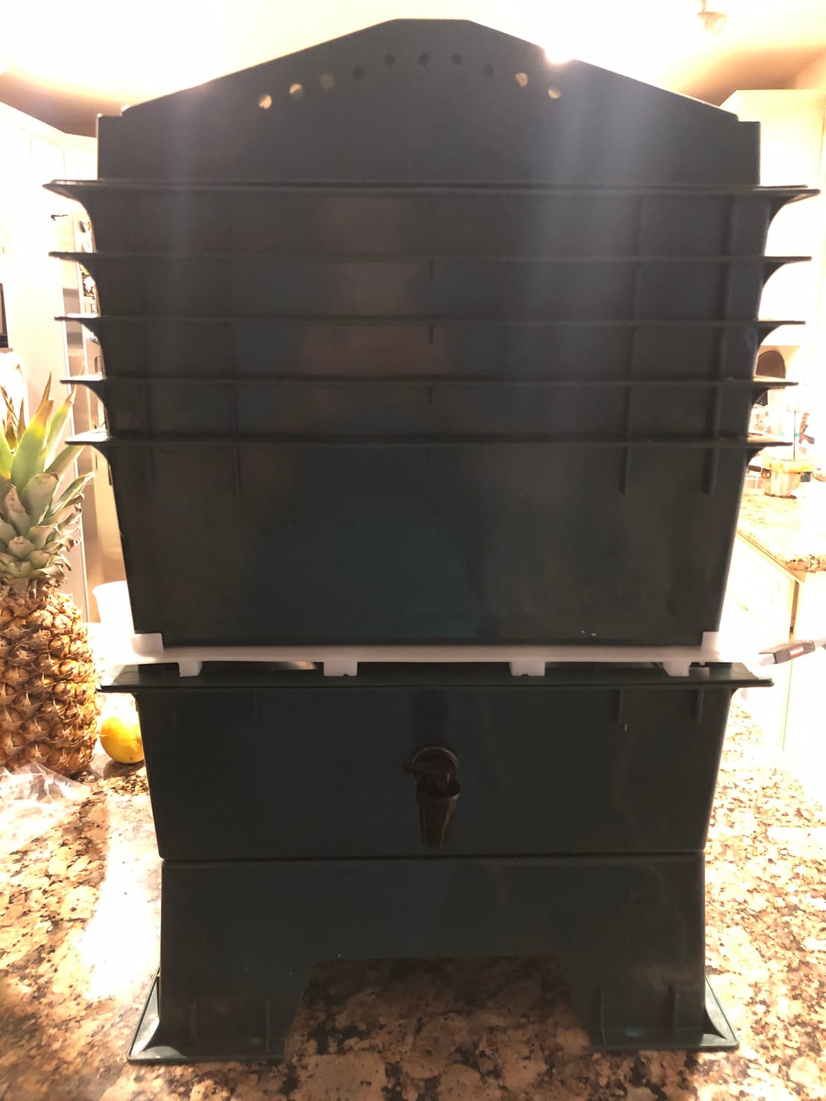 The Original VermiHut Classic Model 5-Tray Worm Composter Bin - Indoor & Outdoor Vermicomposting System, Continuous Flow Food Waste Recycler for Organic Composting & Gardening - Dark Green customer photo 2