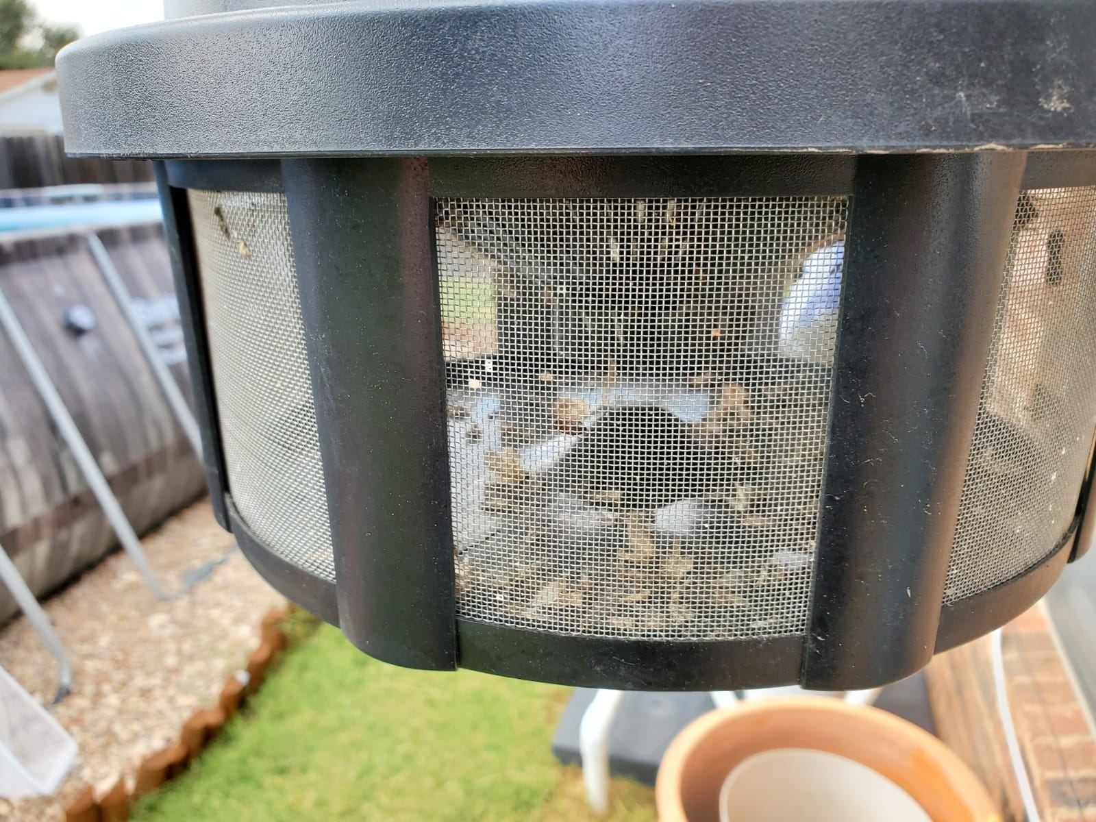 DynaTrap DT1775 1 Acre Mosquito & Flying Insect Trap - Kills Mosquitoes, Flies, Wasps, Gnats, & Other Flying Insects - Bug Zapper Alternative - Black customer photo 2
