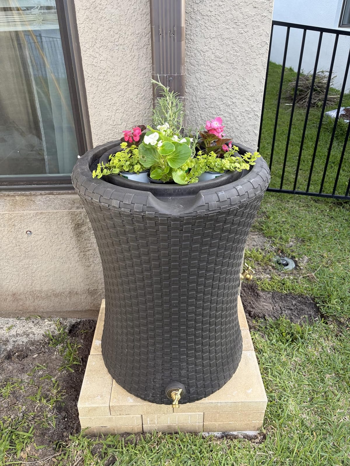 Good Ideas Impressions Nantucket Rain Water Collection Barrel, 50 Gallon | Dark Brown Rainwater Catcher, Outdoor Home Water Storage Collector with Garden Planter and Metal Spigots customer photo 1