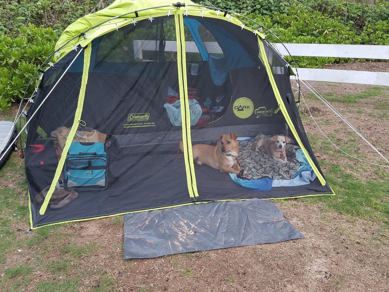 Coleman Carlsbad Dark Room Tent with Screened Porch, 4/6 Person Tent Blocks 90% of Sunlight to Keep Inside Cool, Weatherproof Shelter with Easy Setup customer photo 1