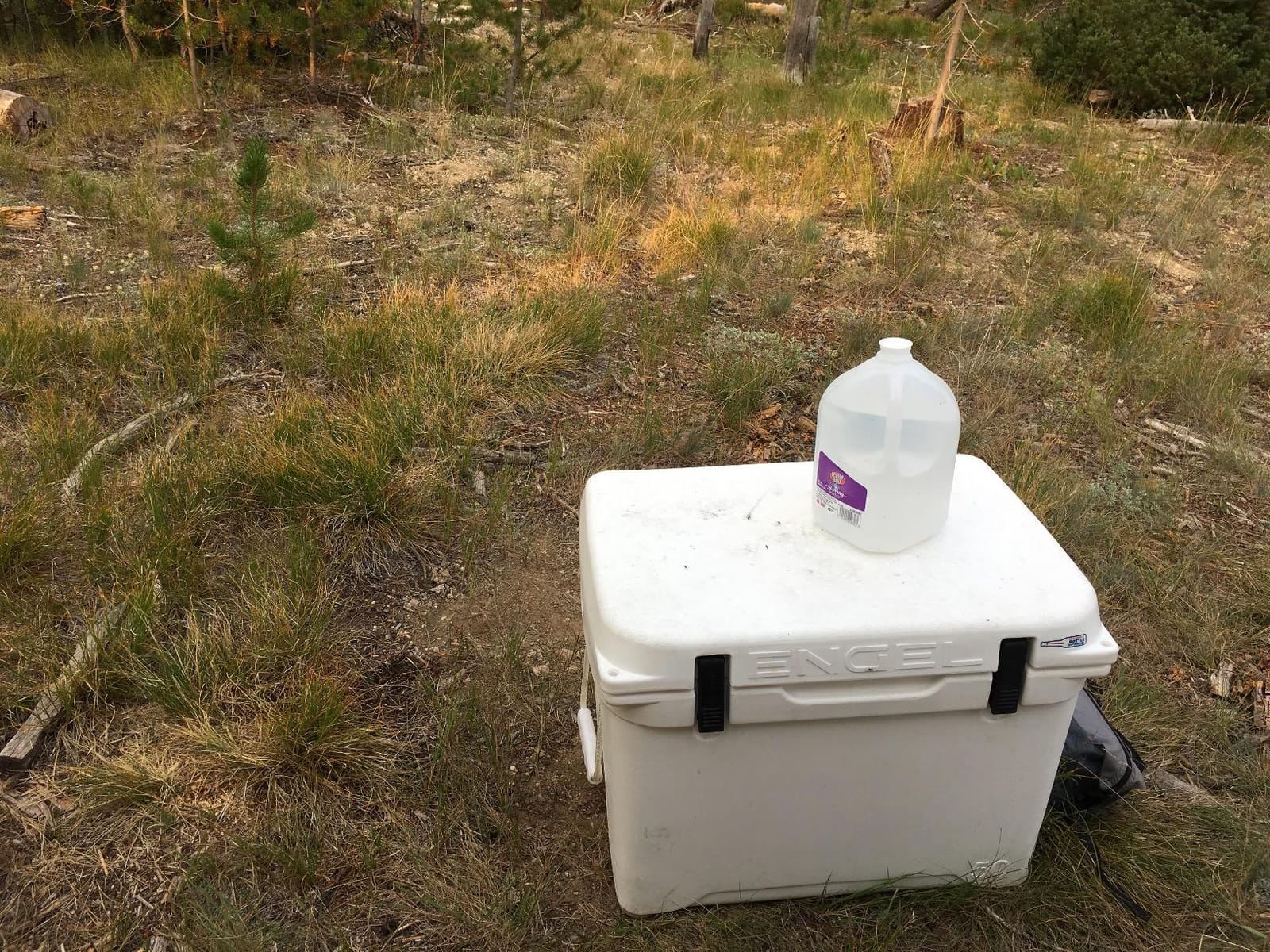 Engel Coolers ENG50 Cooler | 60 Can High Performance Durable Seamless Rotationally Molded Ice Box for Camping, Hunting, and Fishing customer photo 1