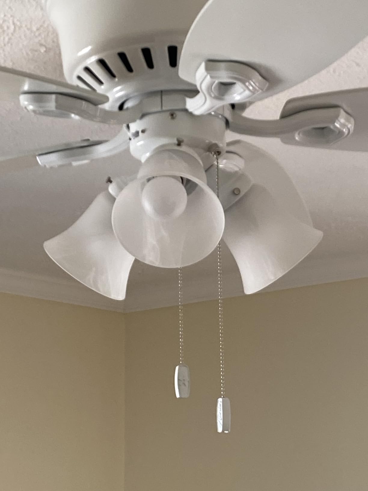 Hunter Builder Indoor Ceiling Fan with LED Lights, 42 inch, New Bronze, Low Profile Flush Mount customer photo 1