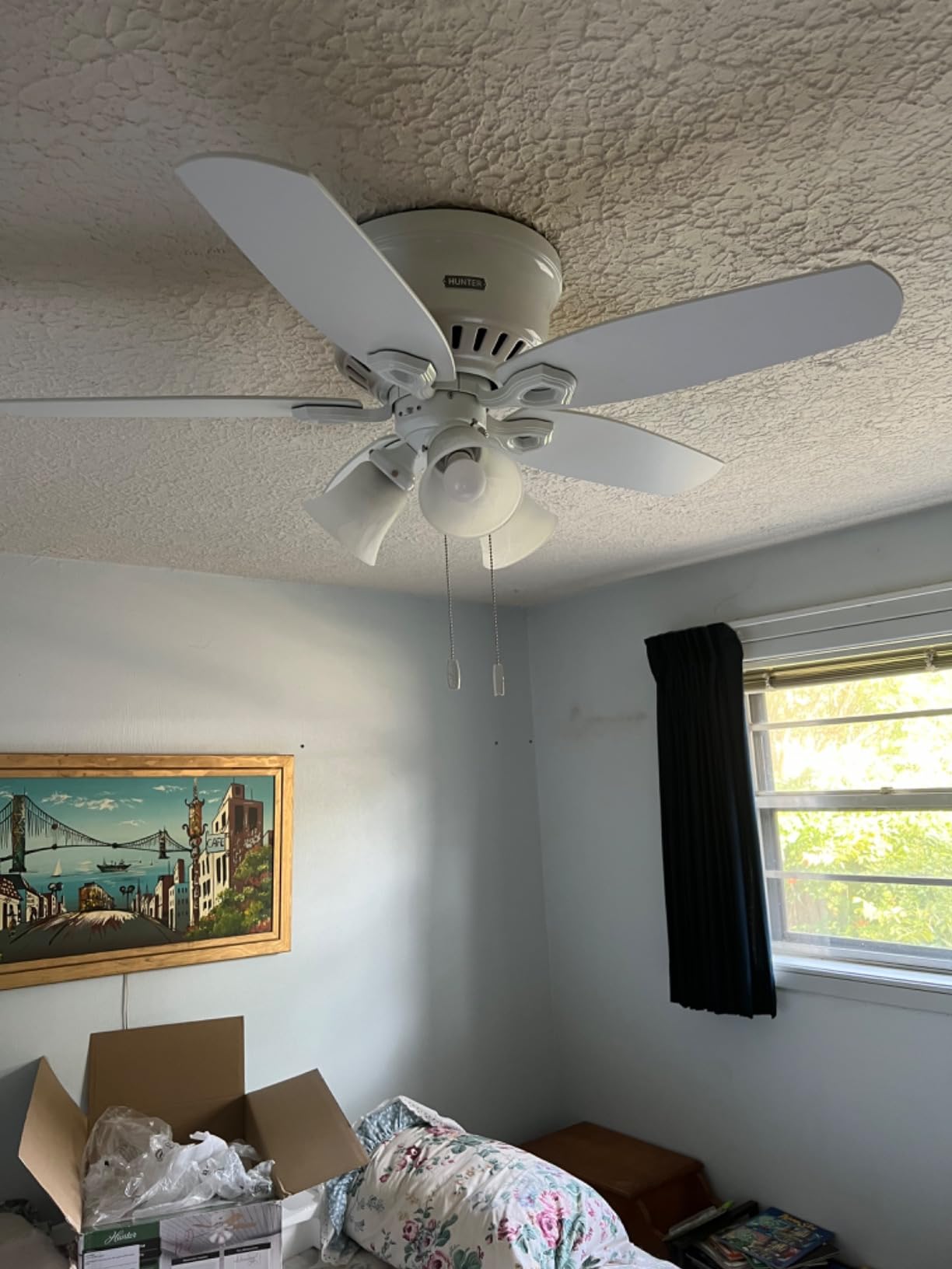 Hunter Builder Indoor Ceiling Fan with LED Lights, 42 inch, New Bronze, Low Profile Flush Mount customer photo 2