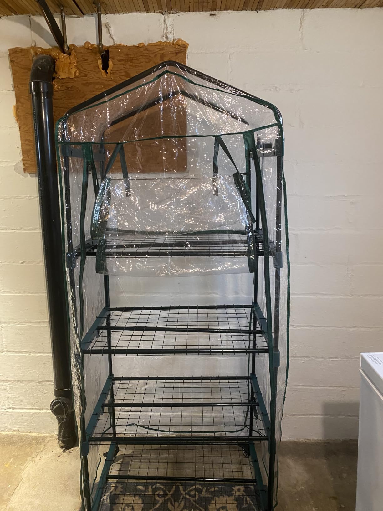 4 Tier Mini Greenhouse - Portable Greenhouse with Locking Wheels and PVC Cover for Indoor or Outdoor Green House by Pure Garden customer photo 1