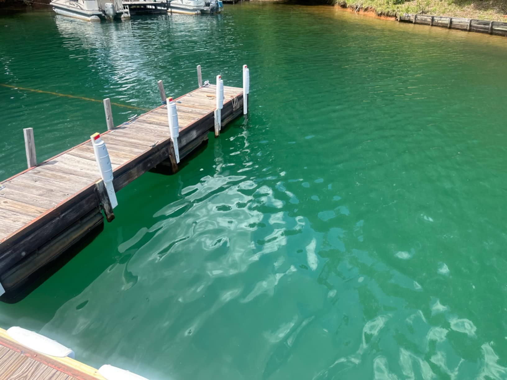 attwood 93532-1 Softside UV-Resistant Marine Dock Fender customer photo 2