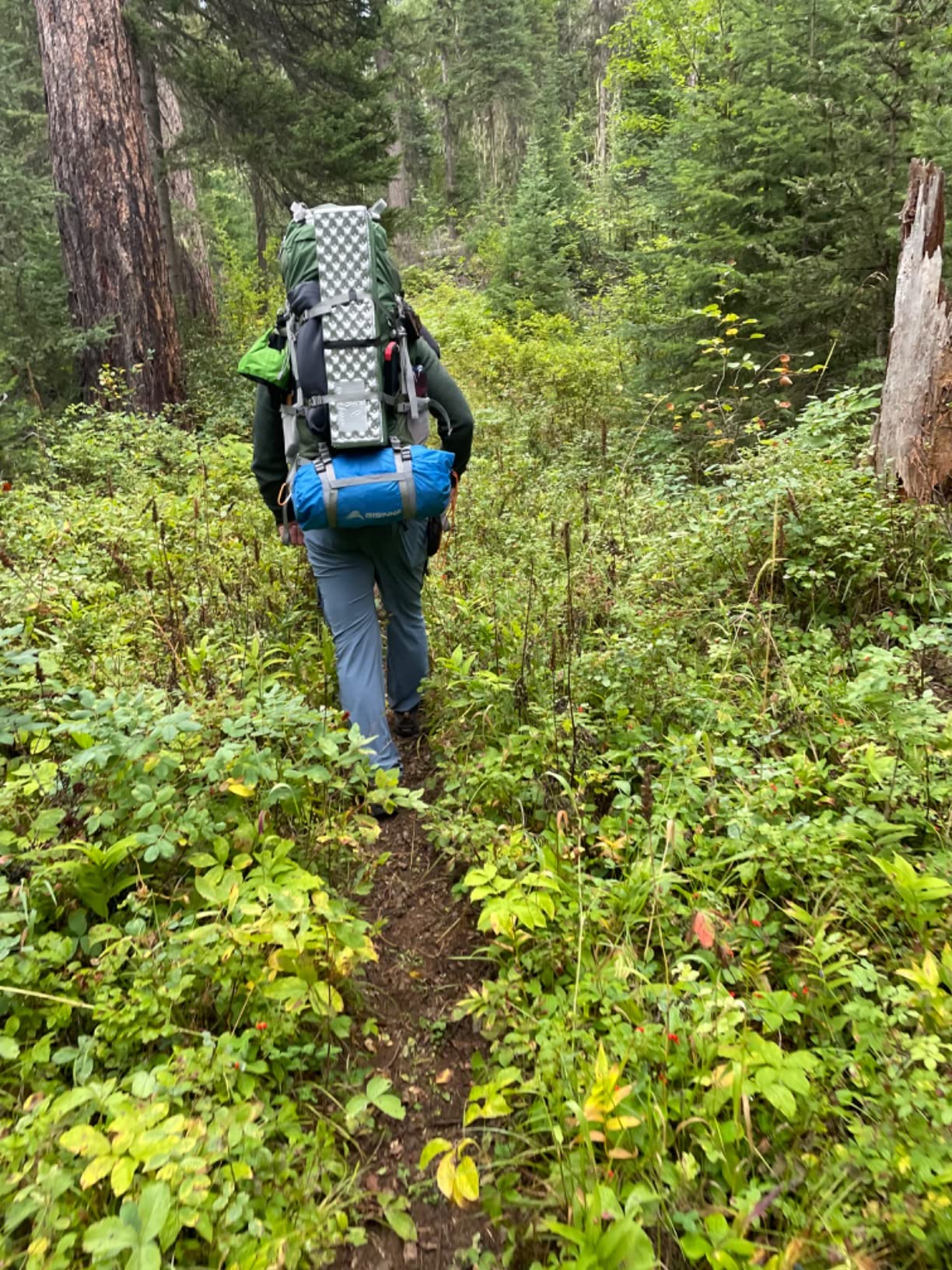 MOUNTAINTOP 70L Internal Frame Backpack Camping Backpacking Hiking Backpack for Men Women with Rain Cover customer photo 2
