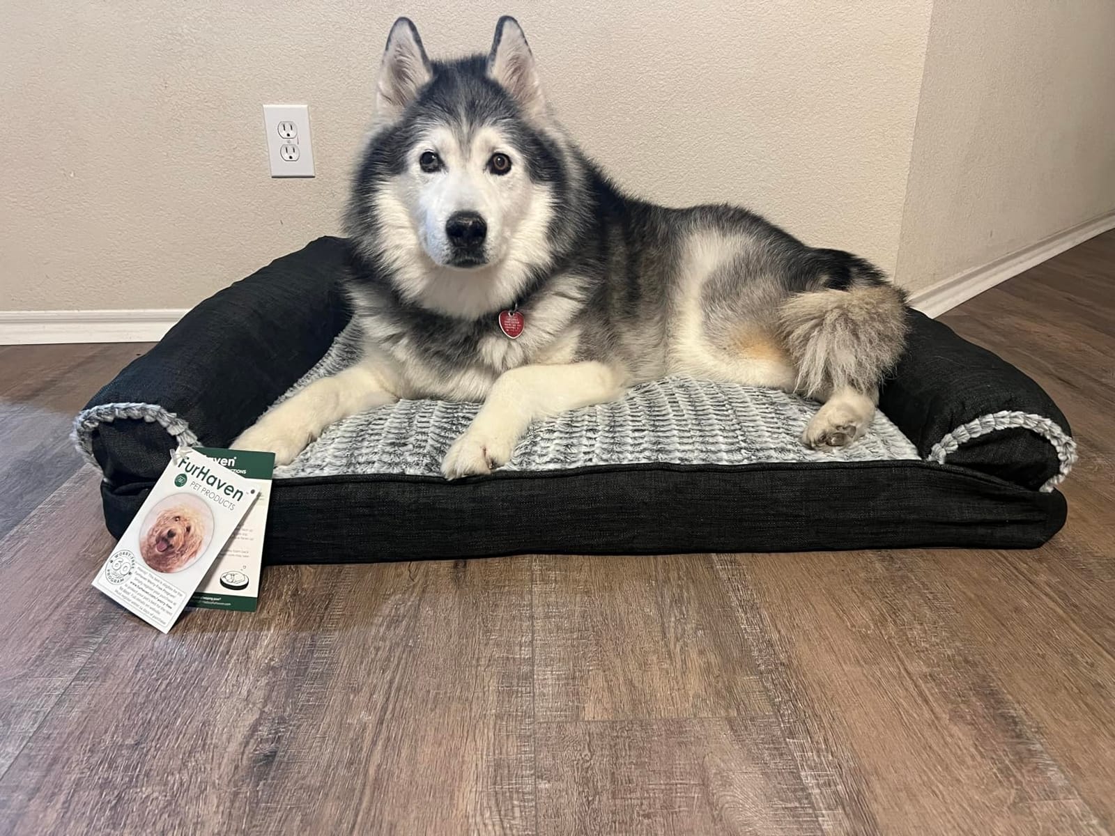 Furhaven Orthopedic Dog Bed for Medium/Small Dogs w/ Removable Bolsters & Washable Cover, For Dogs Up to 35 lbs - Plush & Suede Sofa - Gray, Medium customer photo 1