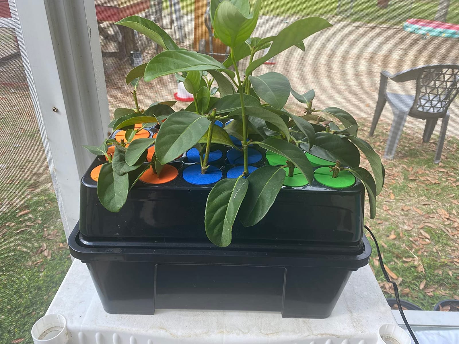 Viagrow Clone Machine 24-Site Black Plastic Round Indoor/Outdoor Aeroponic Hydroponic System with Lid and Collar Inserts customer photo 1