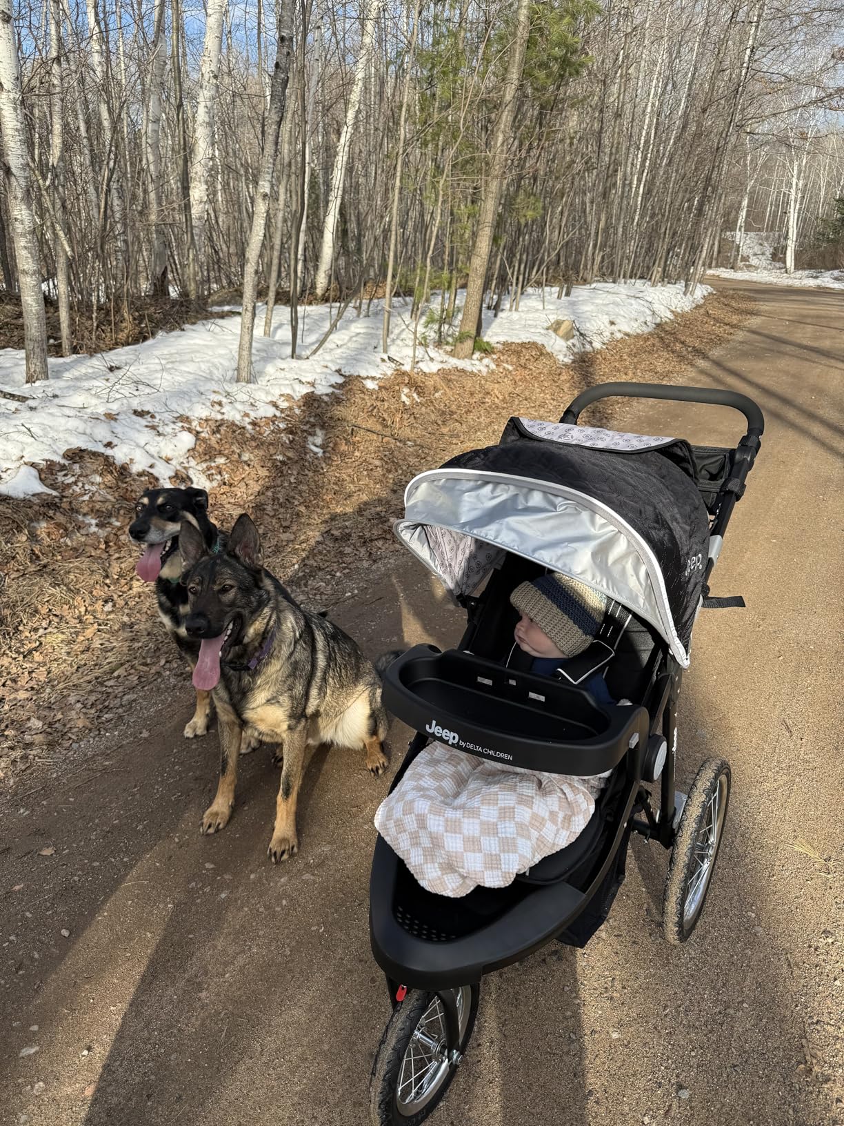 Jeep Cross-Country Sport Plus Jogging Stroller by Delta Children, Charcoal Galaxy customer photo 2