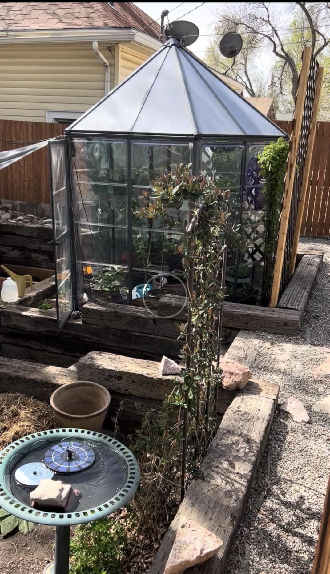 Palram - Canopia Oasis Hex 7' x 8' Polycarbonate Aluminum Greenhouse, Gray | Outdoor Backyard Home Garden Walk-In DIY Kit, Twin-Wall UV Protected, Heavy-Duty Aluminum Frame, Lockable Door, Roof Vent customer photo 2