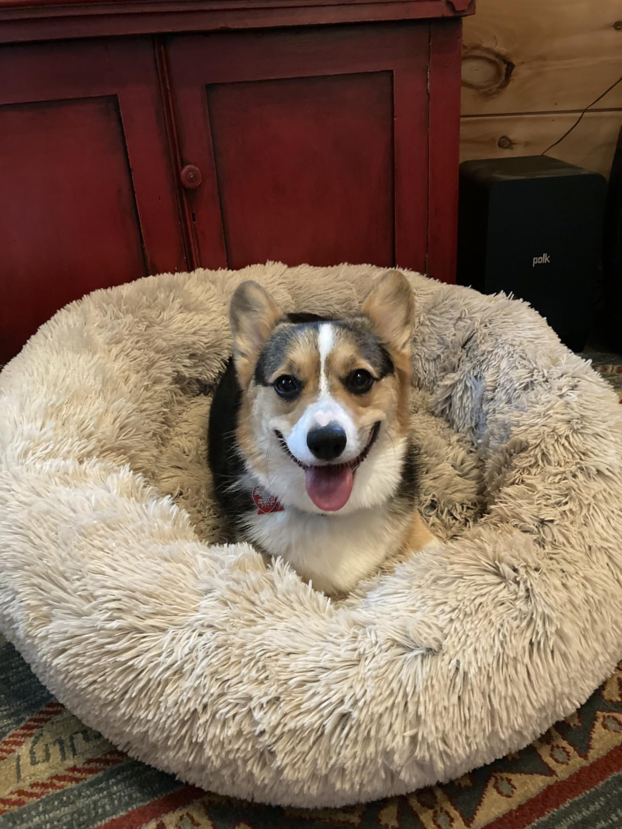 Best Friends by Sheri Original Calming Donut Dog Bed, Frost Gray, Small 23in | Machine Washable, Shag Faux Fur, Orthopedic Support, Sense of Security, Water-Resistant Base, Small Dogs Up to 25 lbs customer photo 1