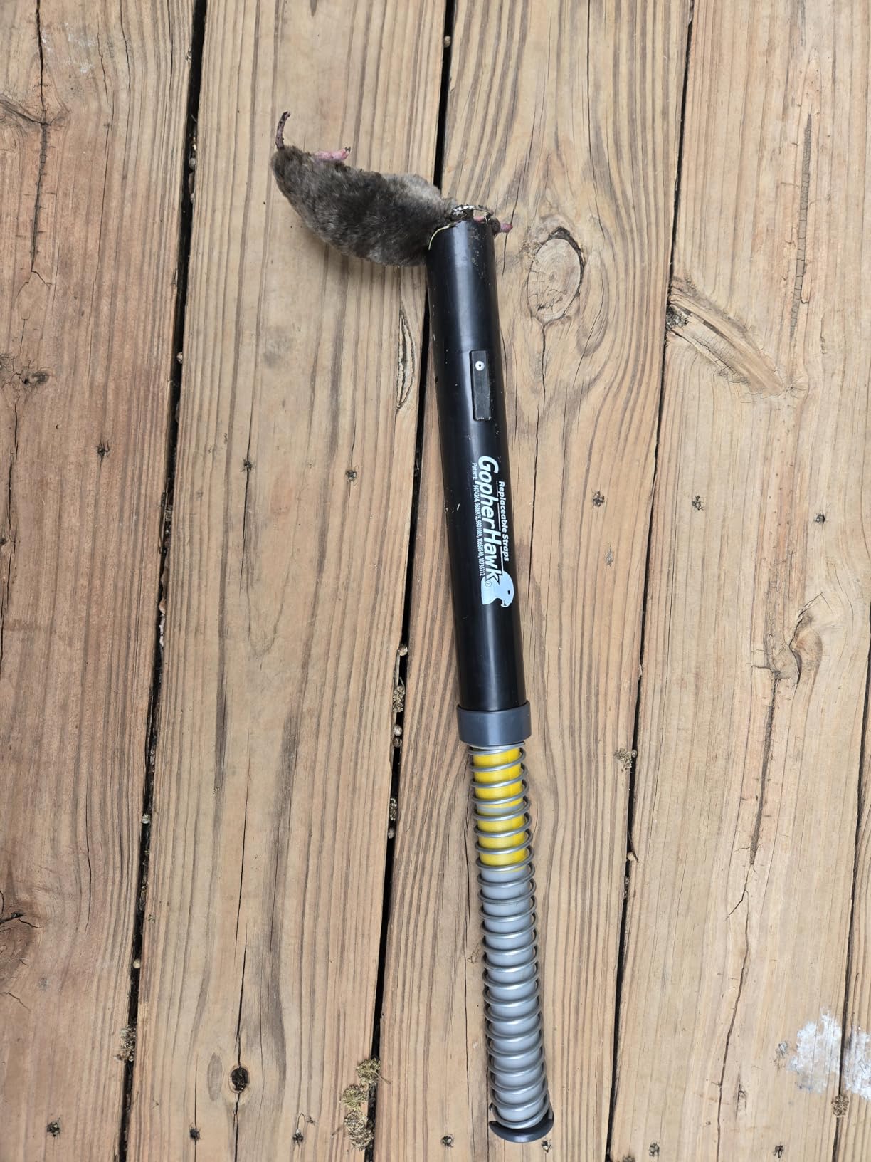 GopherHawk® Single Trap for Gophers and Moles, 1 GH-TRP customer photo 1