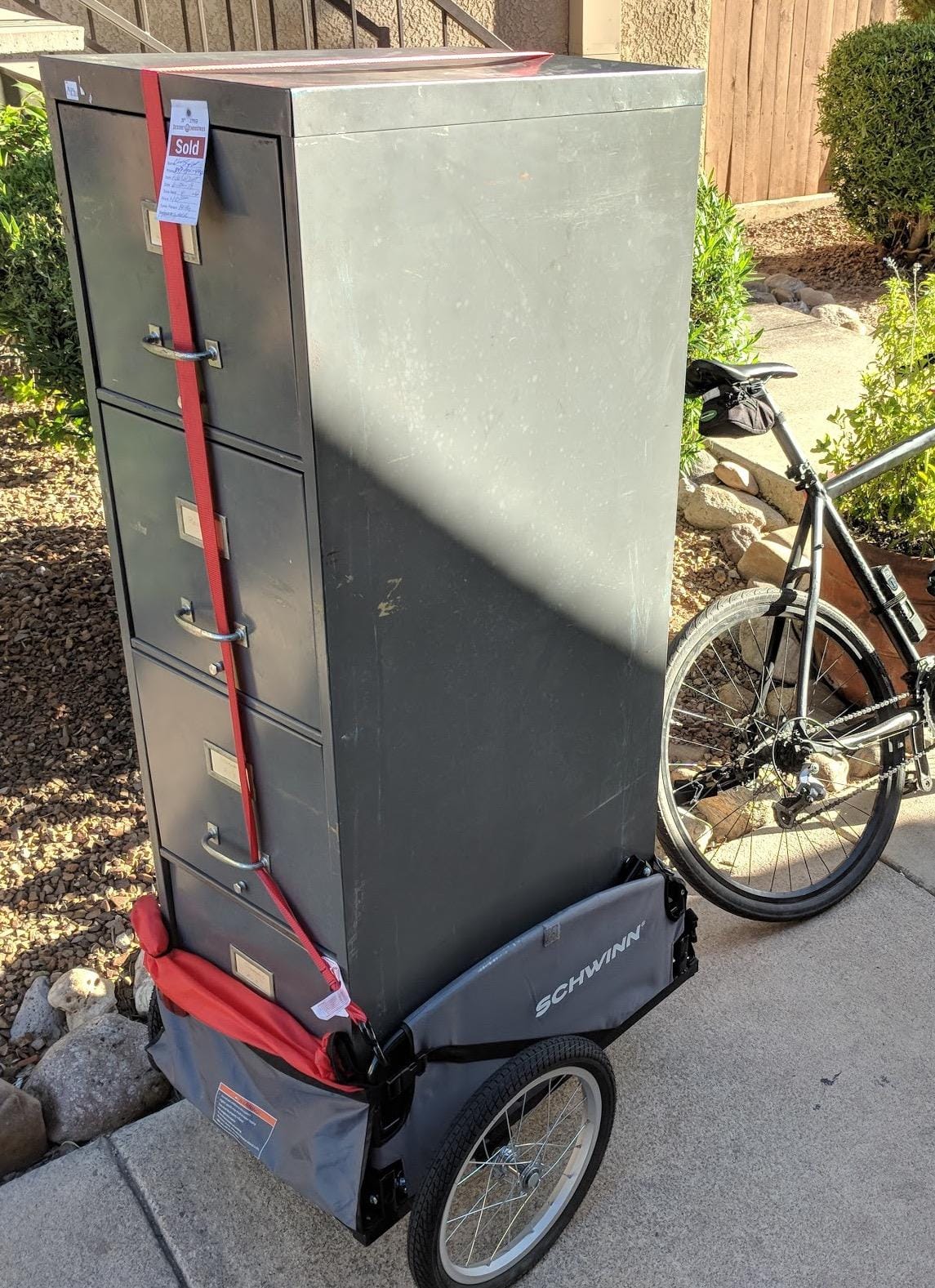Schwinn Daytripper Bike Cargo Trailer, Holds up to 100 lb, Universal Coupler, Folding Frame, Quick-Release Wheels, 16-Inch Air-Filled Tires, Interior D-Rings customer photo 1