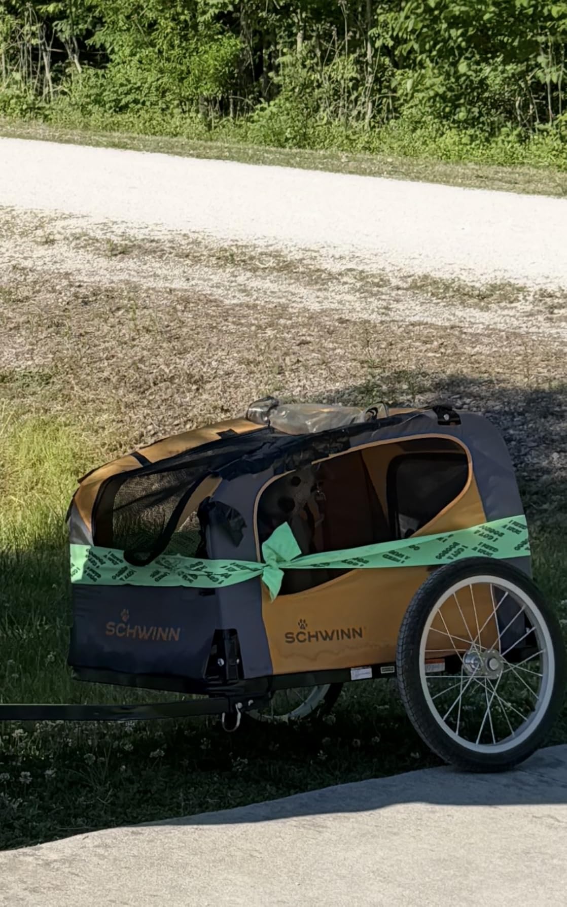Schwinn 13-SC315 Rascal Bike Pet Trailer, For Small and Large Dogs, Lightweight, Tow with Bicycle, Up to 50 lbs. Small, Orange/Grey customer photo 1