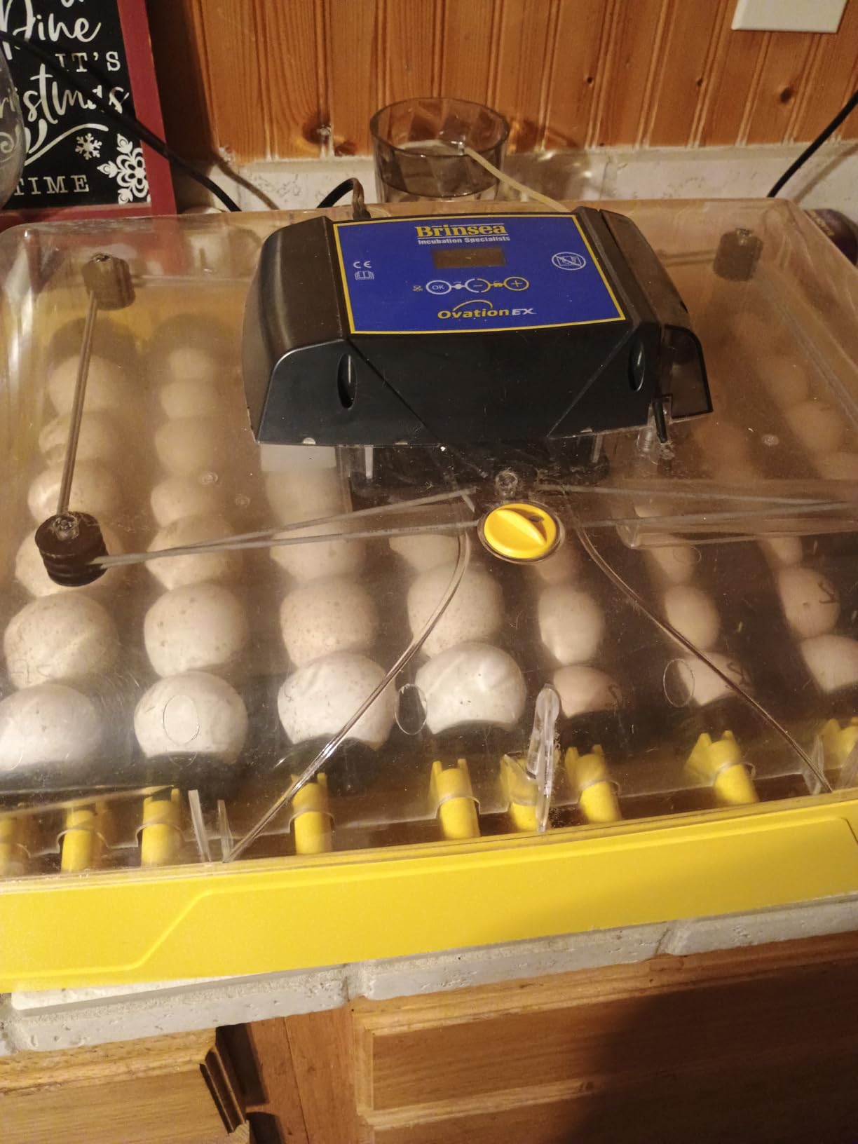 Brinsea Ovation 56 EX Egg Incubator, Automatic Turning & Humidity Control customer photo 1