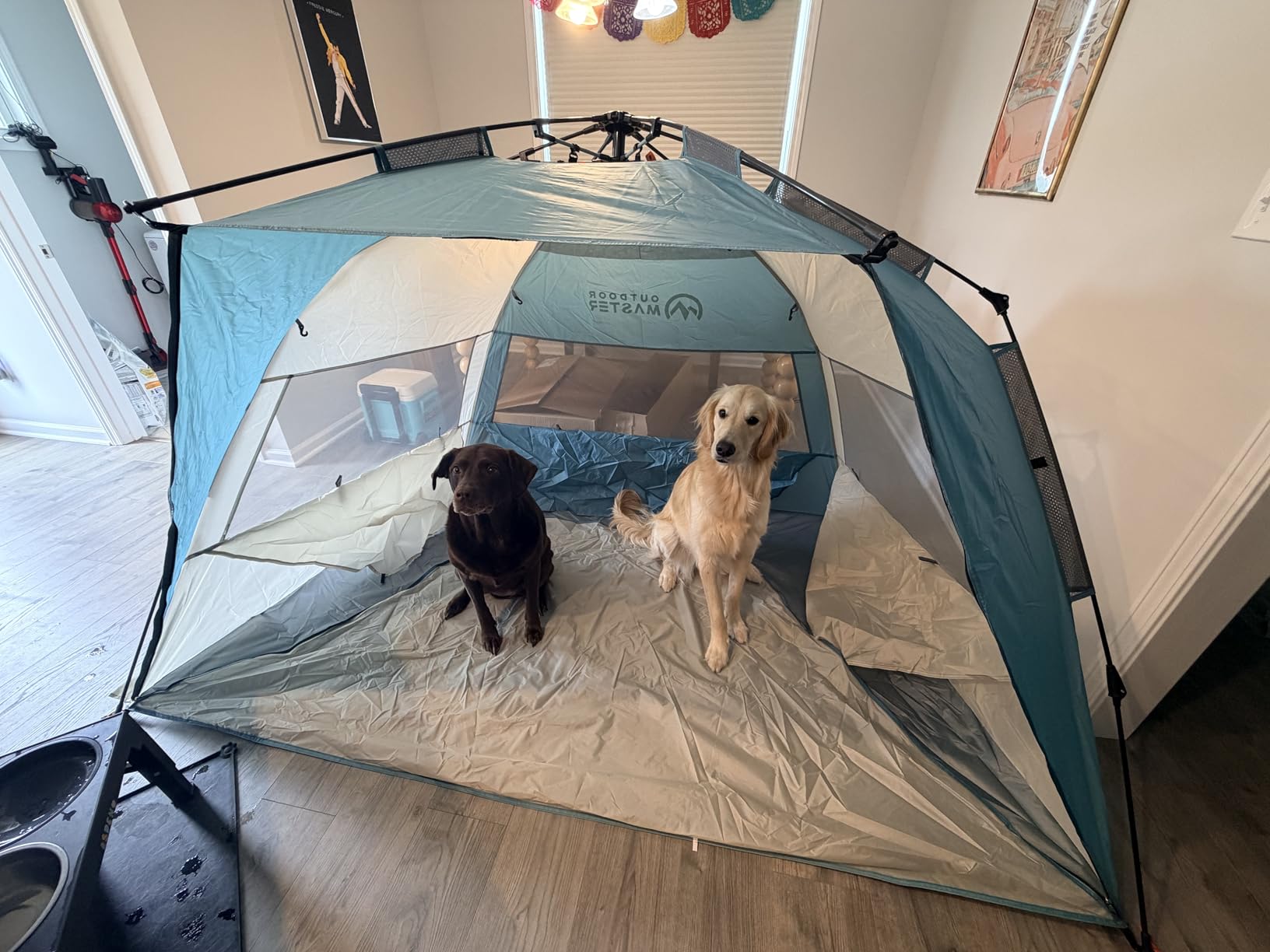 OutdoorMaster Pop Up Beach Tent Sun Shelter for 3-4 Person with Sandbags | Instant Setup, UPF 50+ Protection, Privacy Zippered Door, Ventilated Windows, Portable Carrying Bag customer photo 2