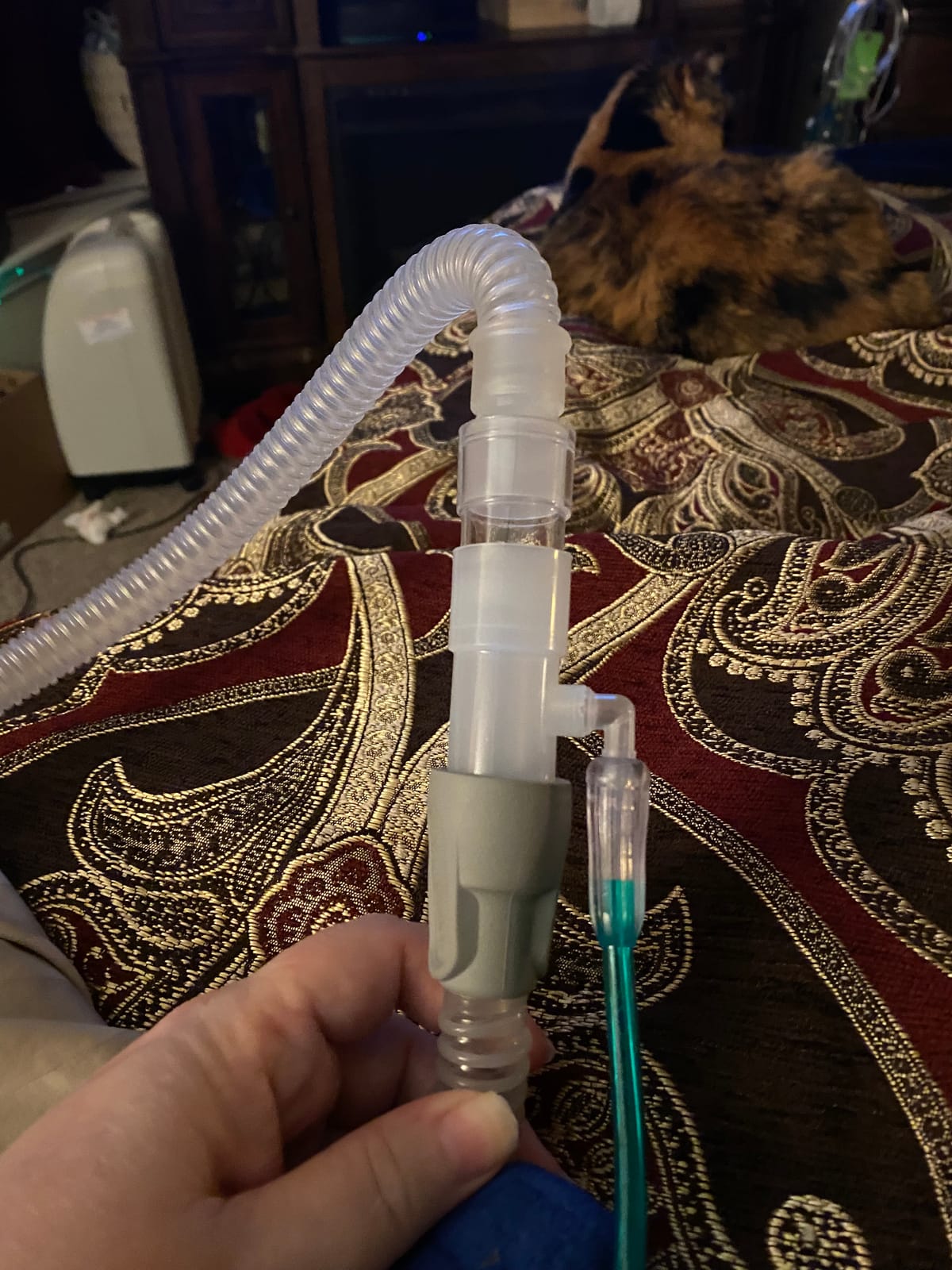 Oxygen Enrichment Adapter - 2 Pack customer photo 2