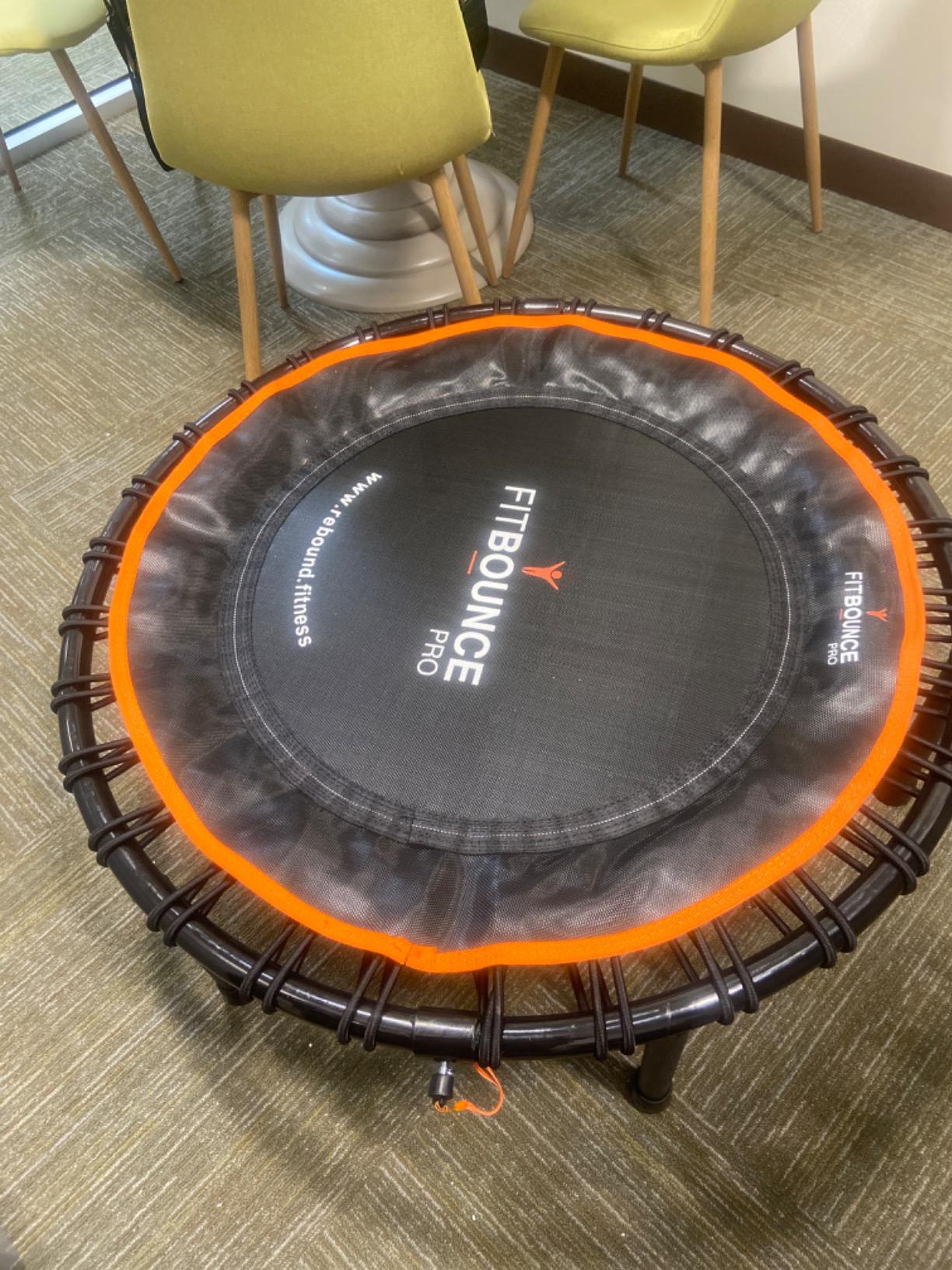 MXL FIT Bounce PRO Bungee Rebounder - Premium Indoor Mini Trampoline for Adults, Silent Low-Impact Bounce, Half-Folding with Foldable Steel Legs & Carry Bag - 40 in, 400lb customer photo 1