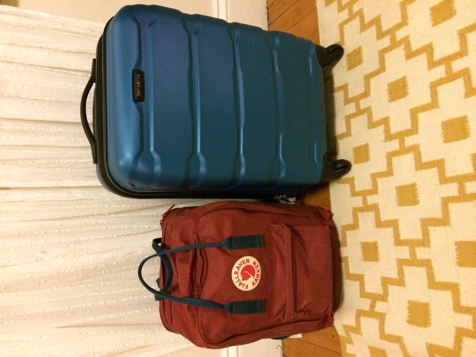 Samsonite Omni PC Hardside Expandable Luggage with Spinner Wheels, Silver, 3-Piece Set (20/24/28) customer photo 1