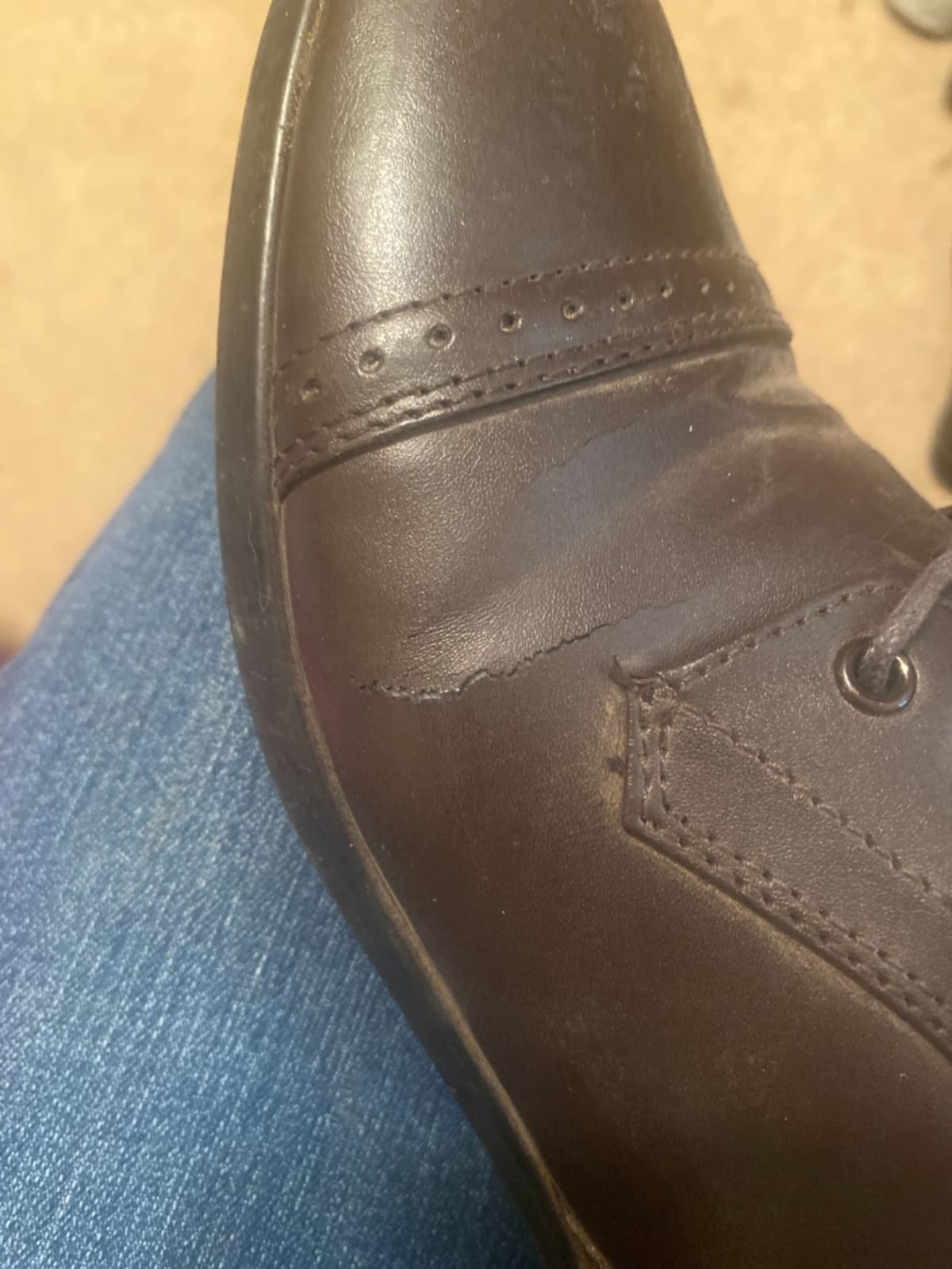 Saxon Syntovia Lace Paddock Boots customer photo 1