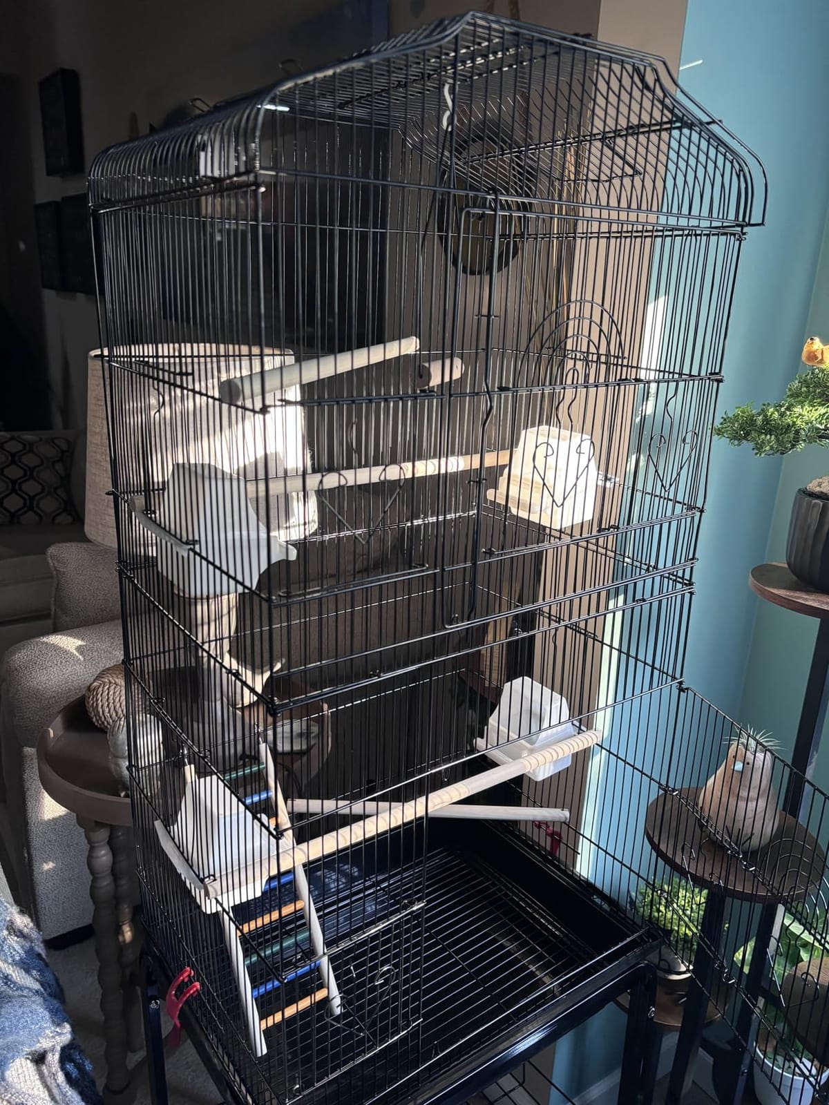 Yaheetech 64'' Open Top Bird Cage for Parakeets & Cockatiels, Black | Detachable Rolling Stand with Shelf, Easy Clean Slide Out Tray, 4 Feeder Doors, 0.4'' Bar Spacing, Indoor & Outdoor Use customer photo 1