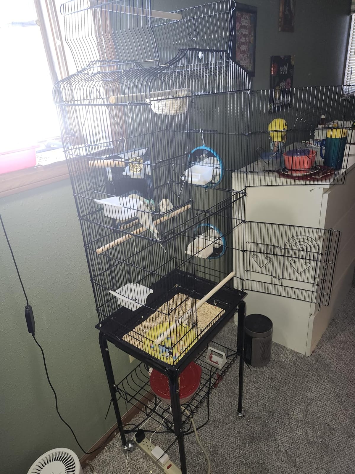 Yaheetech 64'' Open Top Bird Cage for Parakeets & Cockatiels, Black | Detachable Rolling Stand with Shelf, Easy Clean Slide Out Tray, 4 Feeder Doors, 0.4'' Bar Spacing, Indoor & Outdoor Use customer photo 2