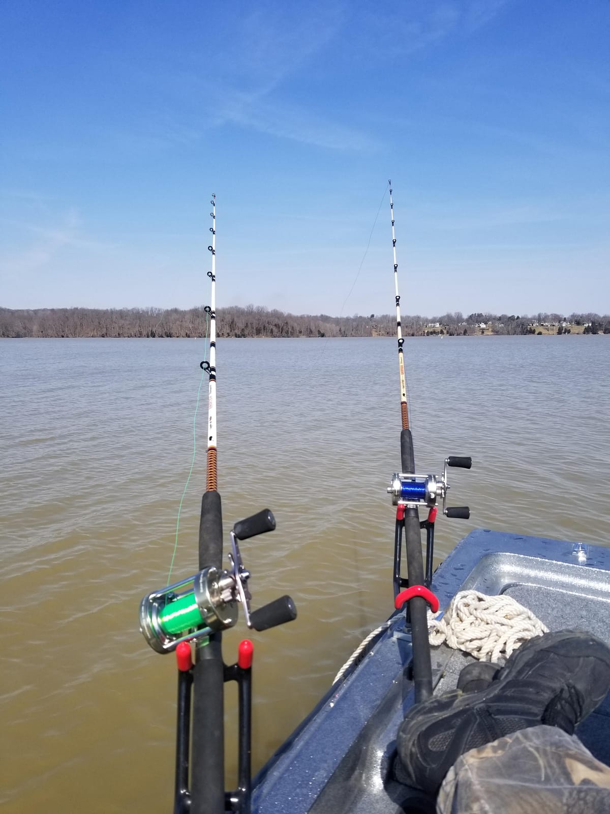 Lew's Laser XL Baitcast Fishing Reel, Right-Hand Retrieve, 4.2:1 Gear Ratio, 4 Bearing System customer photo 1
