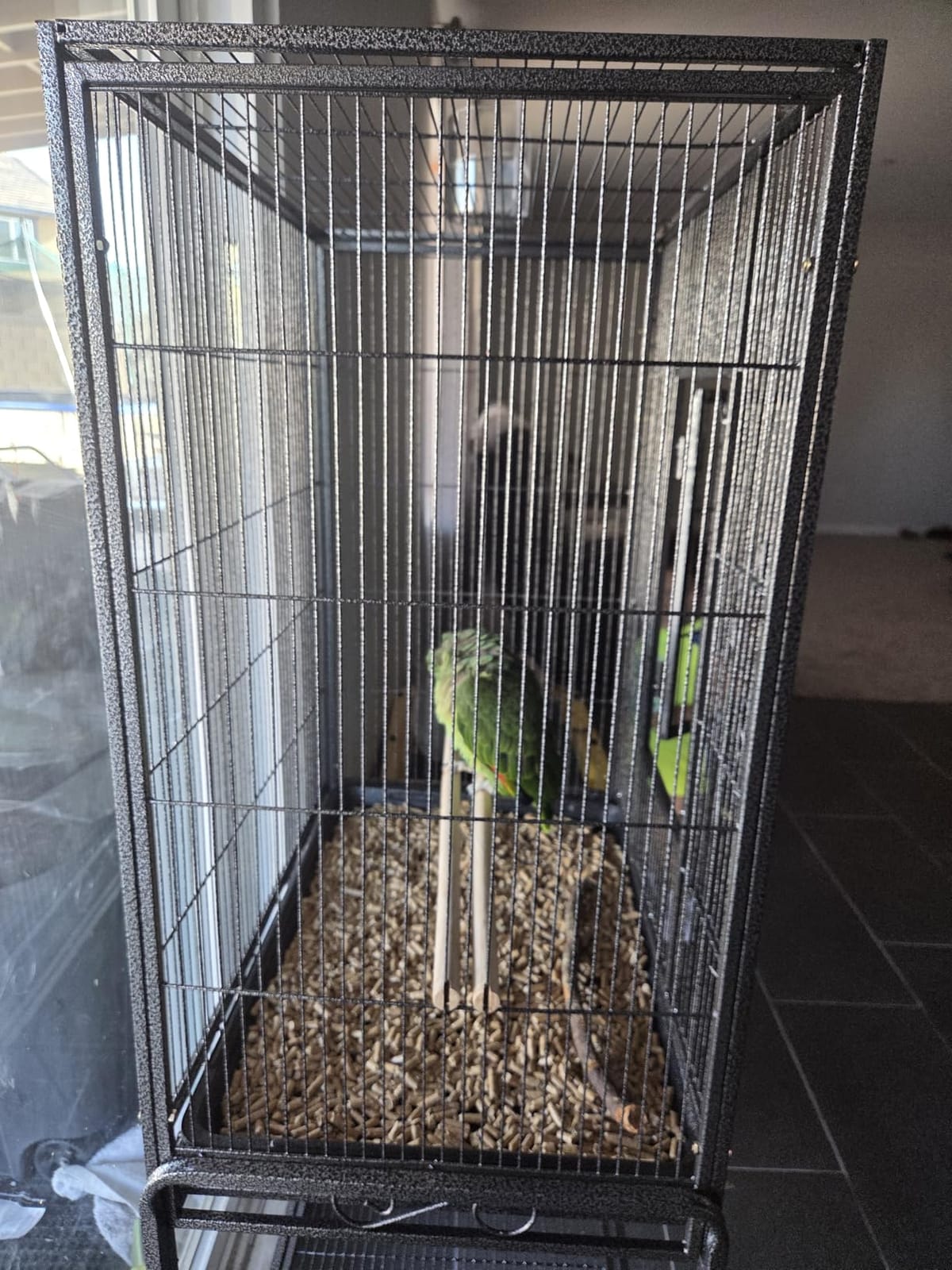 ZENY 53-Inch Parakeet Bird Cage, Wrought Iron Large Parrot Flight Birdcage | with Rolling Stand, Perches, Slide-Out Tray and Plastic Feeders, Casters,Bird Cage for Cockatiels Canary Finch customer photo 2