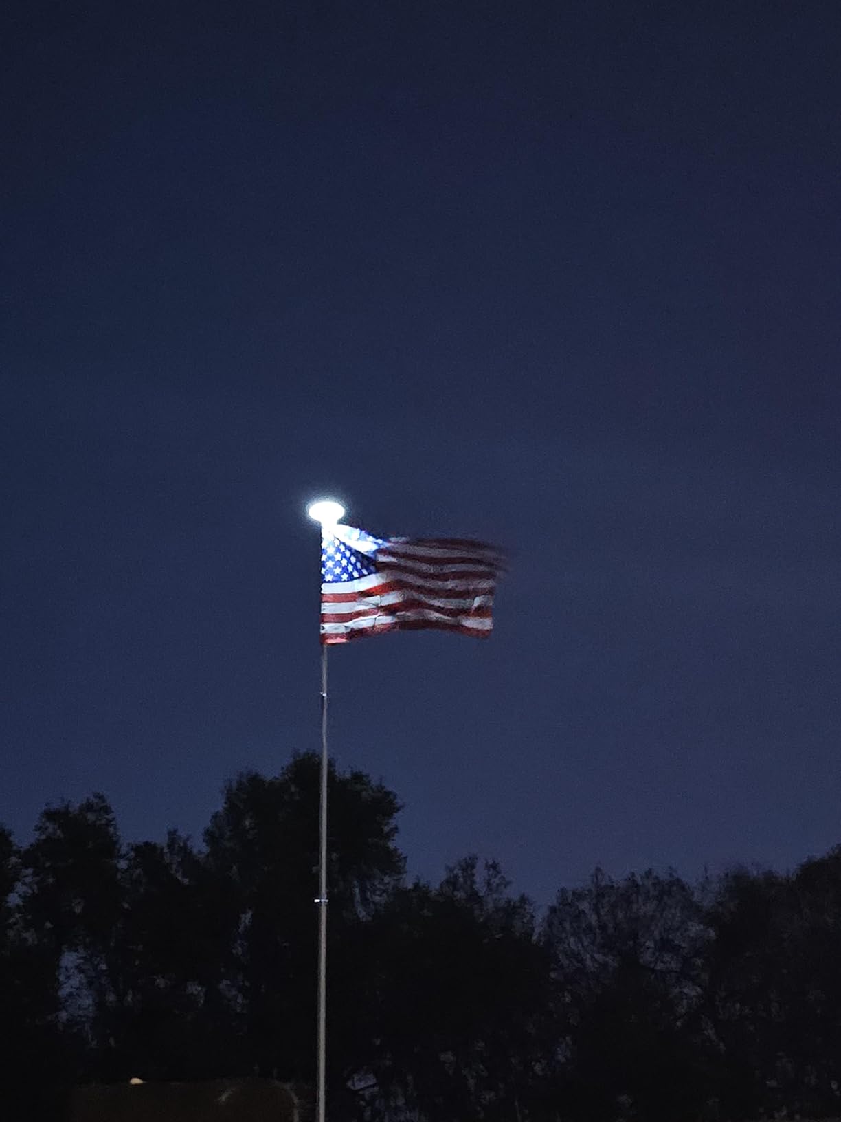 25FT Telescopic Flag Pole with Solar Lights - Outdoor Flagpole Kit customer photo 1