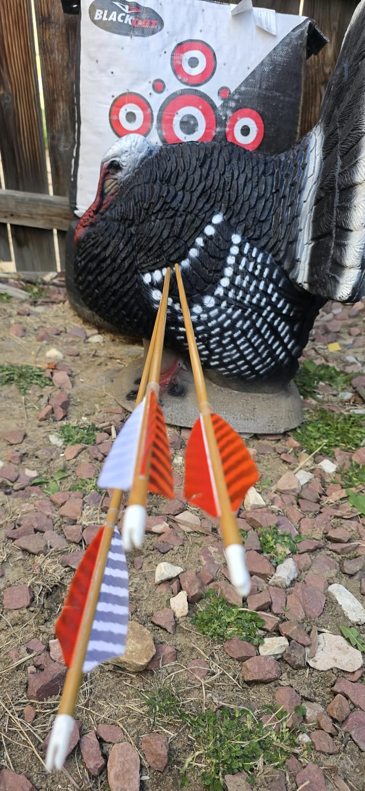 Obert Original Black Hunter Takedown Recurve Bow 60inch with Bamboo Core Limbs Archery Hunting Target Practice customer photo 1