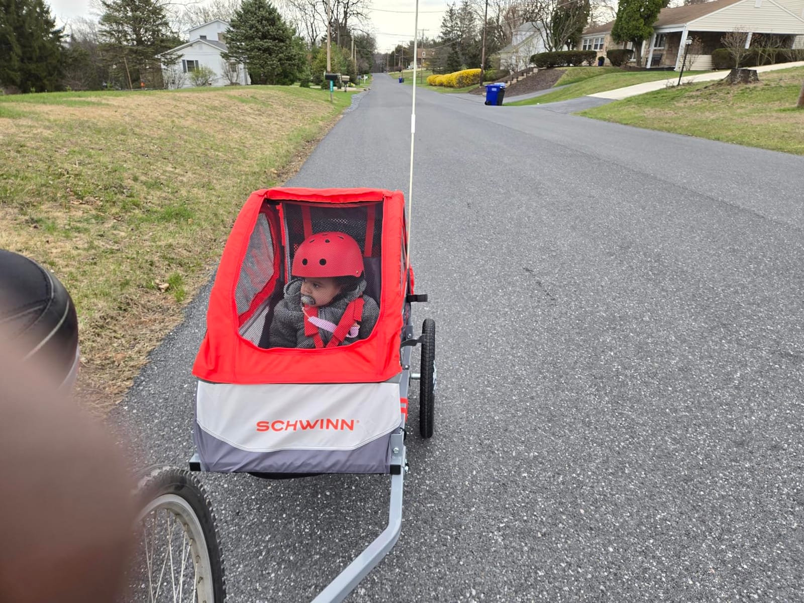 Schwinn Trailblazer Plus Kids Bike Trailer, Single Seat, Universal Coupler, Folding Frame, Quick-Release Wheels, Canopy with Bug Screen and Weather Shield, Schwinn Bike Trailer for Kids customer photo 1