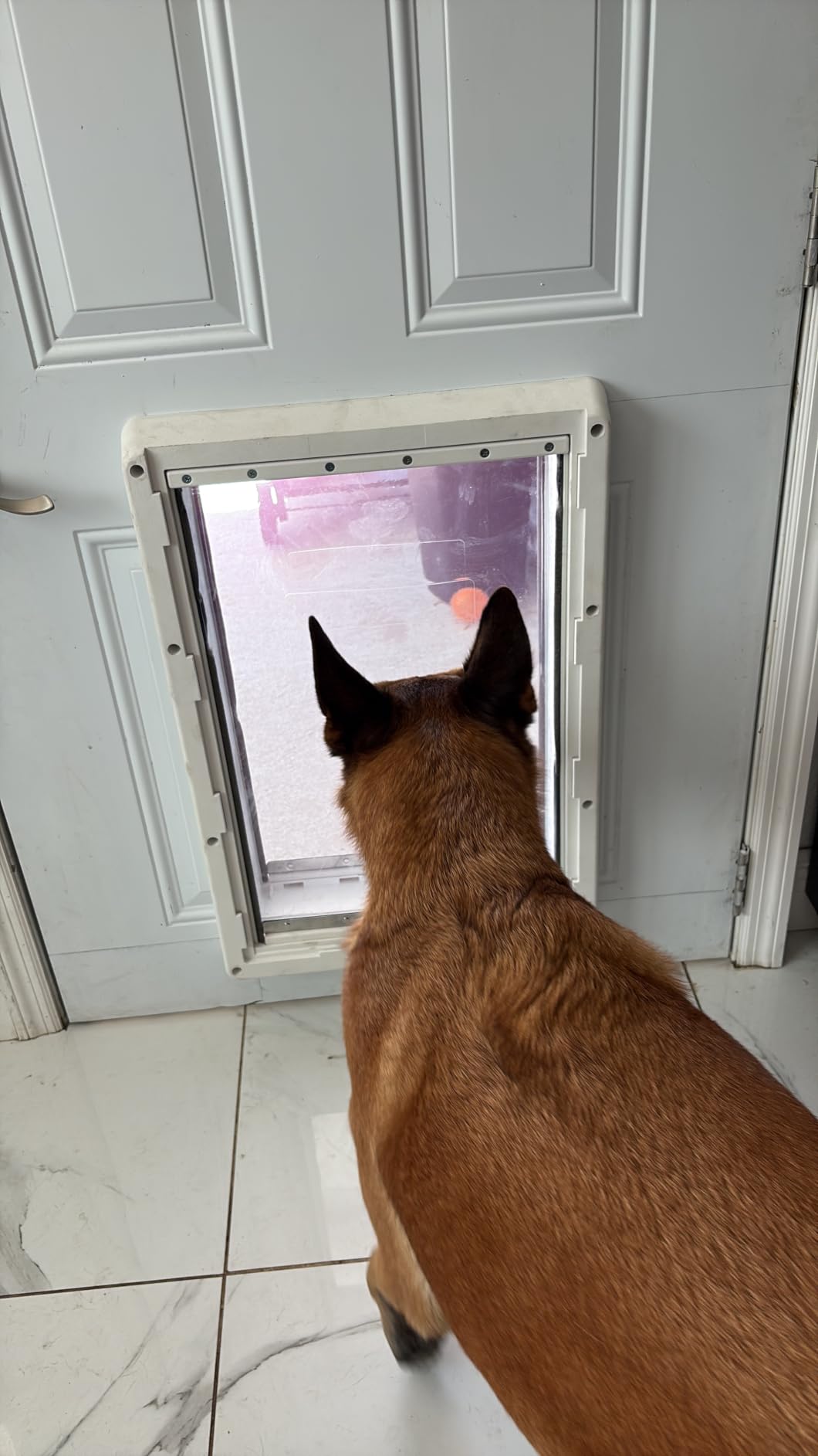 Ideal Pet Products Designer Series Ruff-Weather Pet Door, Super Large | 15