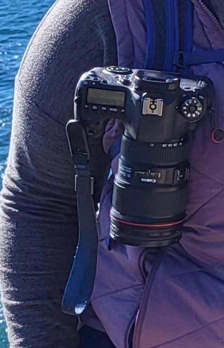 Capture Camera Clip V3, Black with Plate, Holds DSLR, Compact and Point and Shoot Bodies, Secure, Stable and Accessible, Attaches to Straps and Belts, Quick Release, 200 lb Capacity customer photo 2