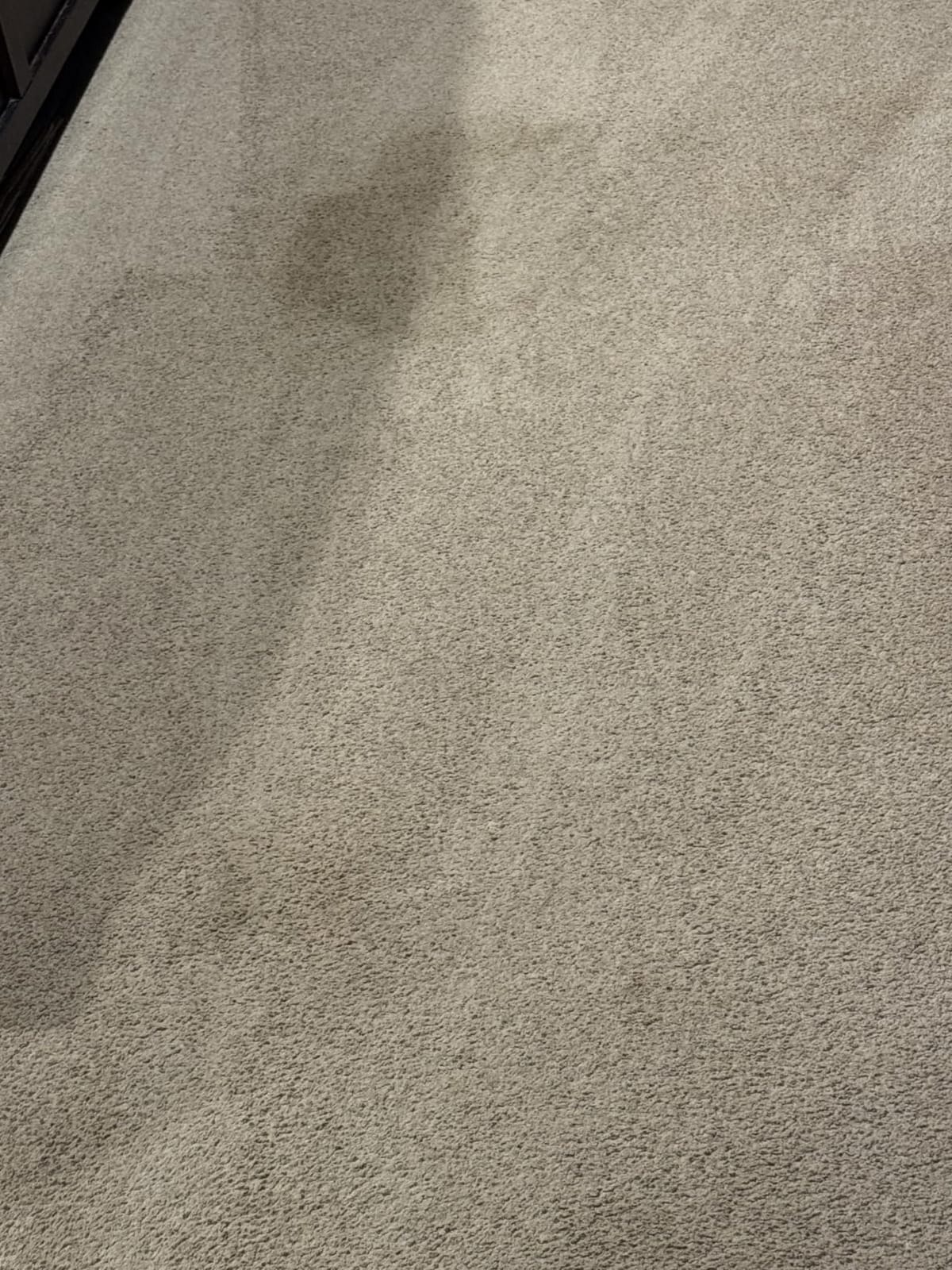 Hoover PowerDash Pet Compact Carpet Cleaner Machine, Lightweight Design | HeatForce Fast Drying, Antimicrobial Brush Roll customer photo 1