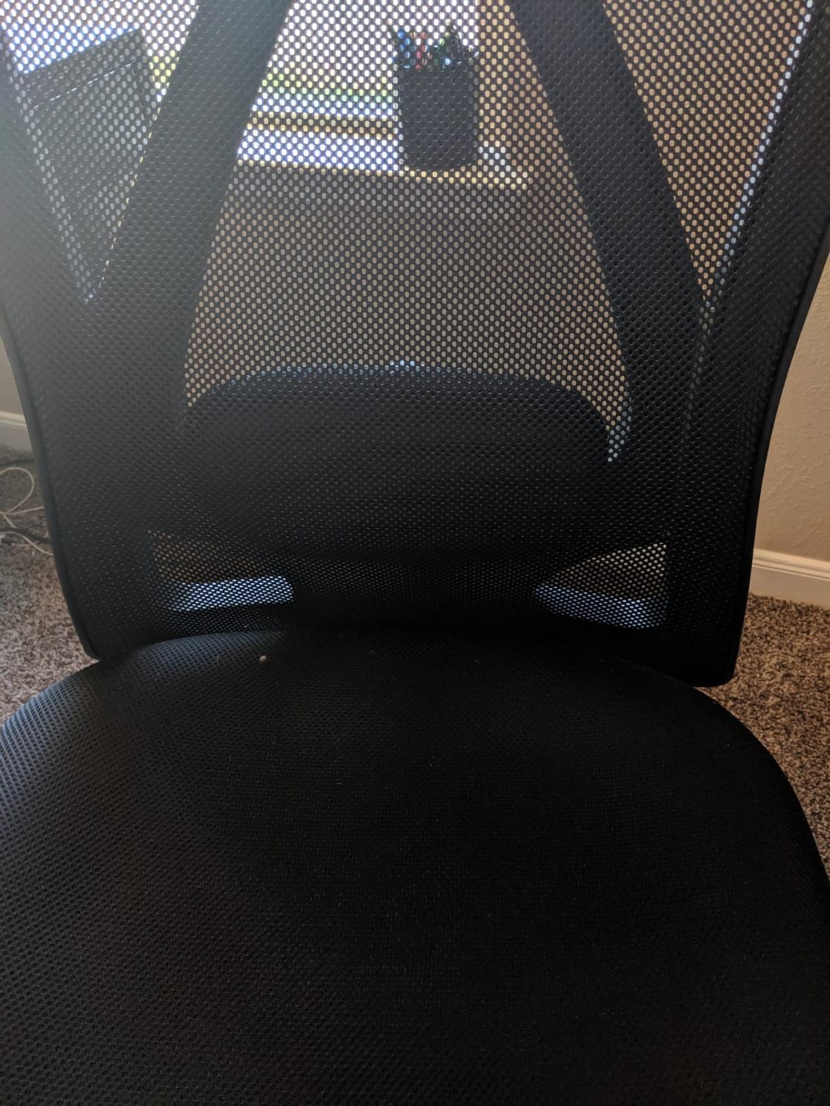 Duramont Ergonomic Office Chair | Adjustable Desk Chair with Lumbar Support and Rollerblade Wheels | High Back Chair with Breathable Mesh | Thick Seat Cushion customer photo 1