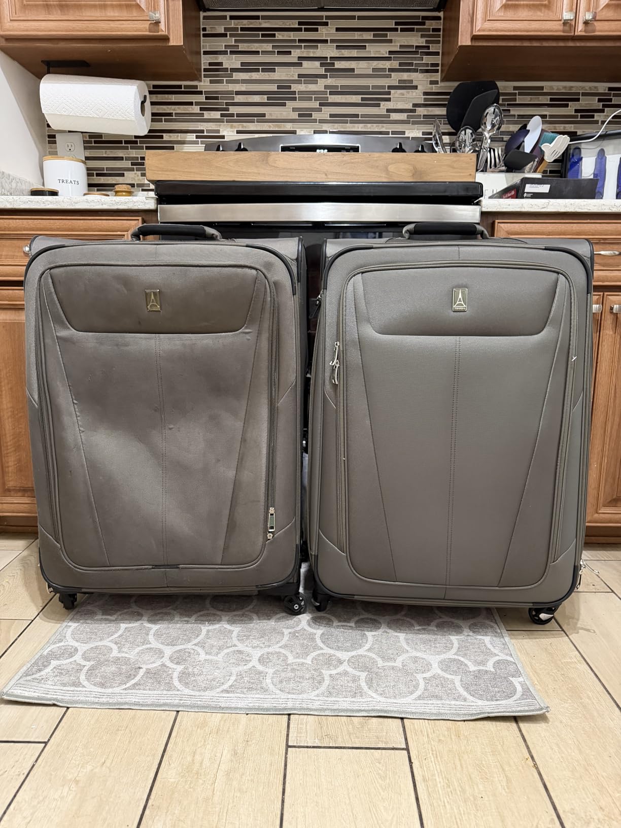 Travelpro Maxlite 5 Softside Carry-On Luggage Spinner, Green, 21-Inch customer photo 2