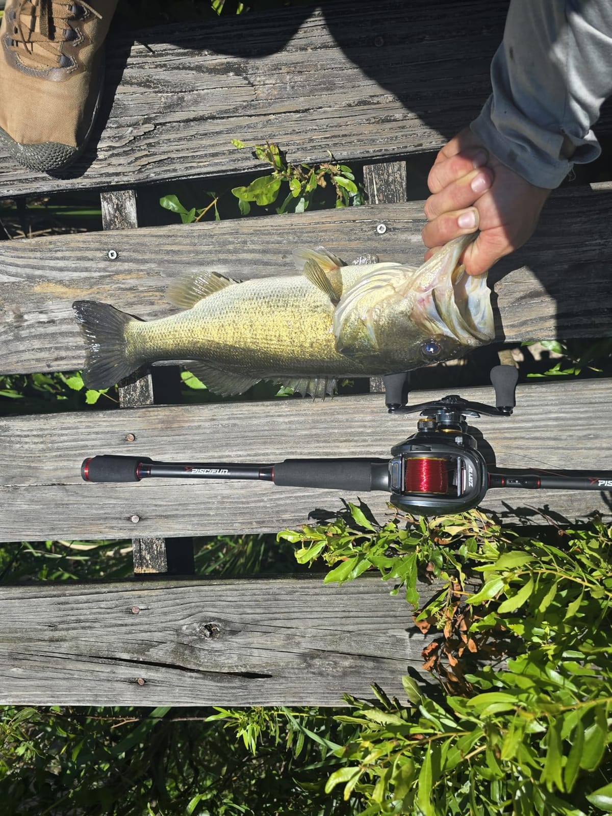 Piscifun Torrent Fishing Rod, IM6 Carbon 2-Piece Baitcaster & Spining Rod customer photo 1