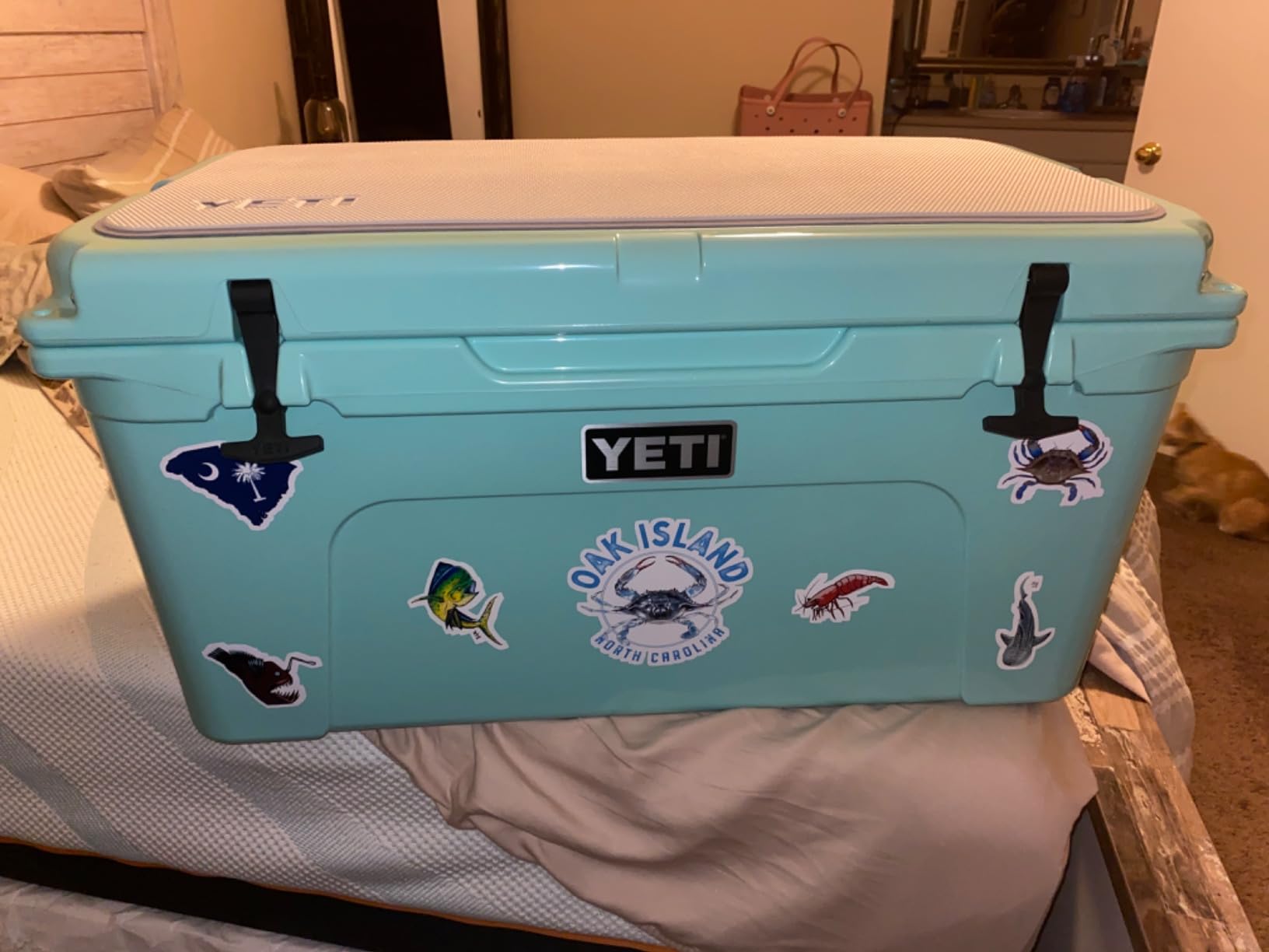 YETI Tundra 65 Cooler | Rotomolded Portable Cooler Box, Fits 54 Cans or 16.8 kg Ice, PermaFrost Insulation, Tough Ice Cooler for Camping or Fishing customer photo 2