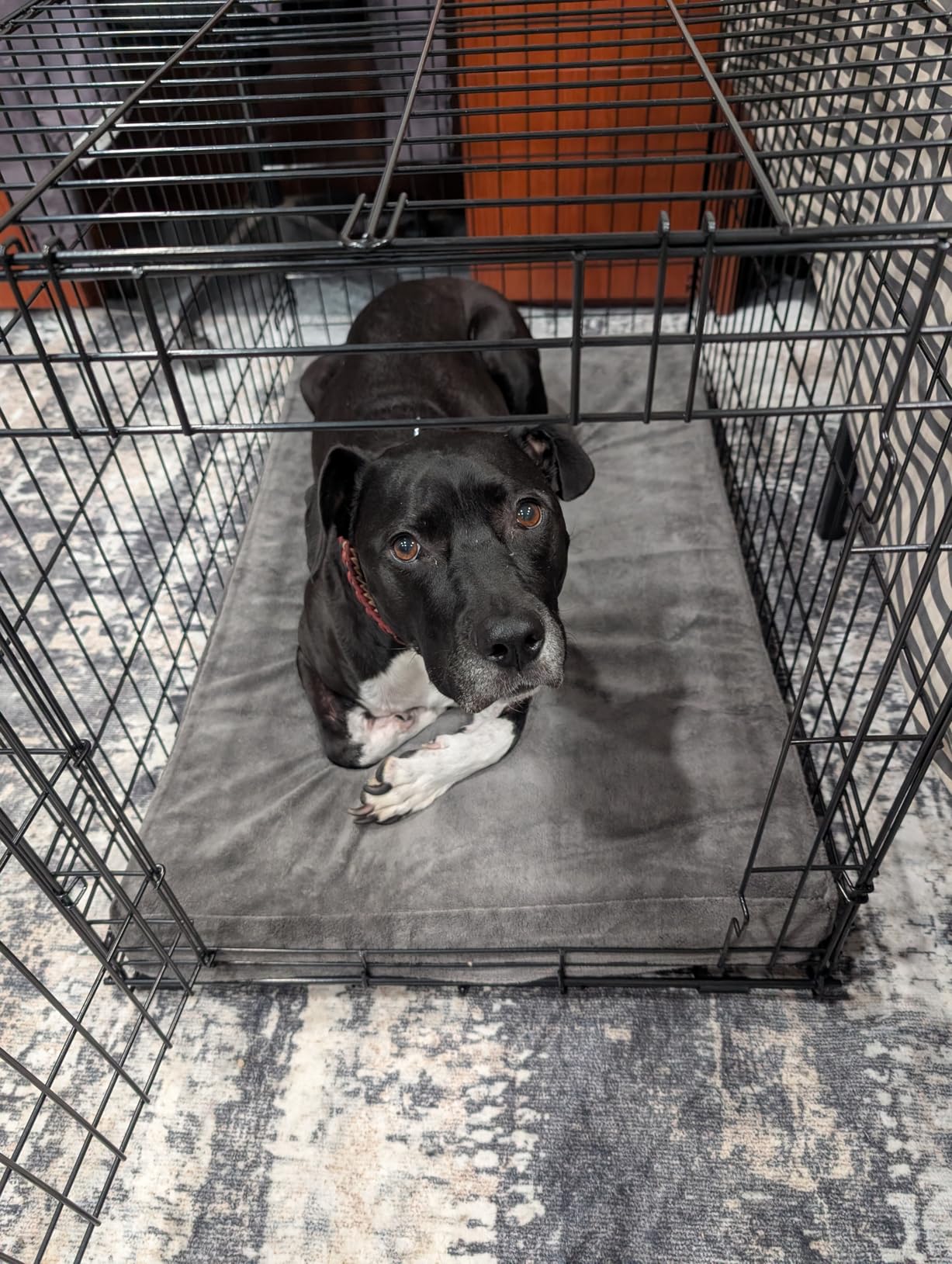 BarkBox Orthopedic Dog Bed - Large | with Memory Foam - Comfortable, Durable & Machine Washable Pet Bed - Grey customer photo 2