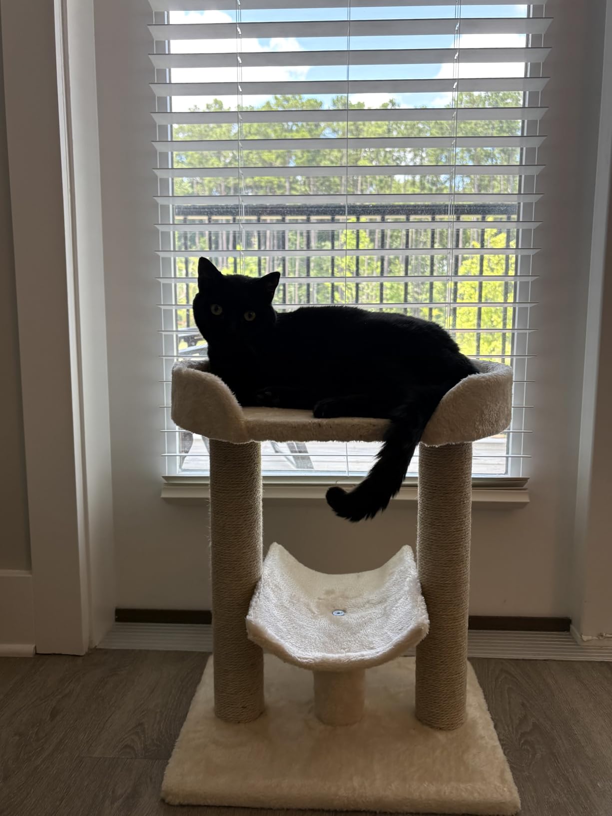 Amazon Basics Multi-Platform Cat Tree with Scratching Post for Indoor Cats up to 25lbs, 18 x 14 x 22 Inches, Beige customer photo 1