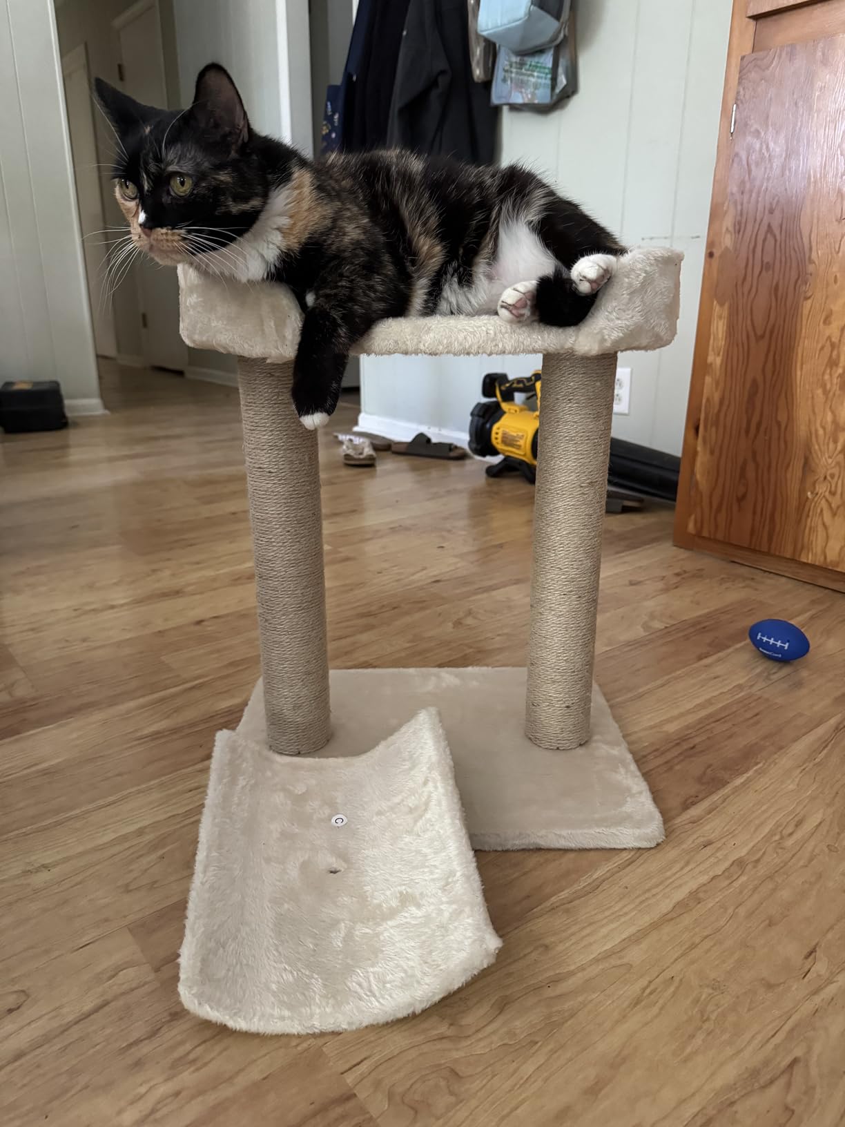 Amazon Basics Multi-Platform Cat Tree with Scratching Post for Indoor Cats up to 25lbs, 18 x 14 x 22 Inches, Beige customer photo 2