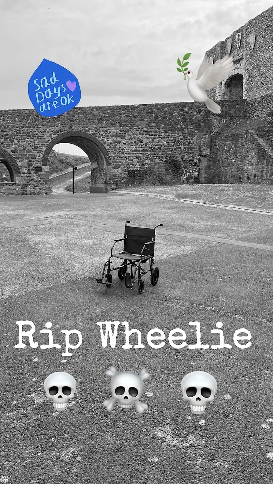 Medline Durable Folding Steel Transport Wheelchair with 12-Inch Wheels, 19-Inch Seat Width, Gray Frame, Microban, Teal Upholstery customer photo 2