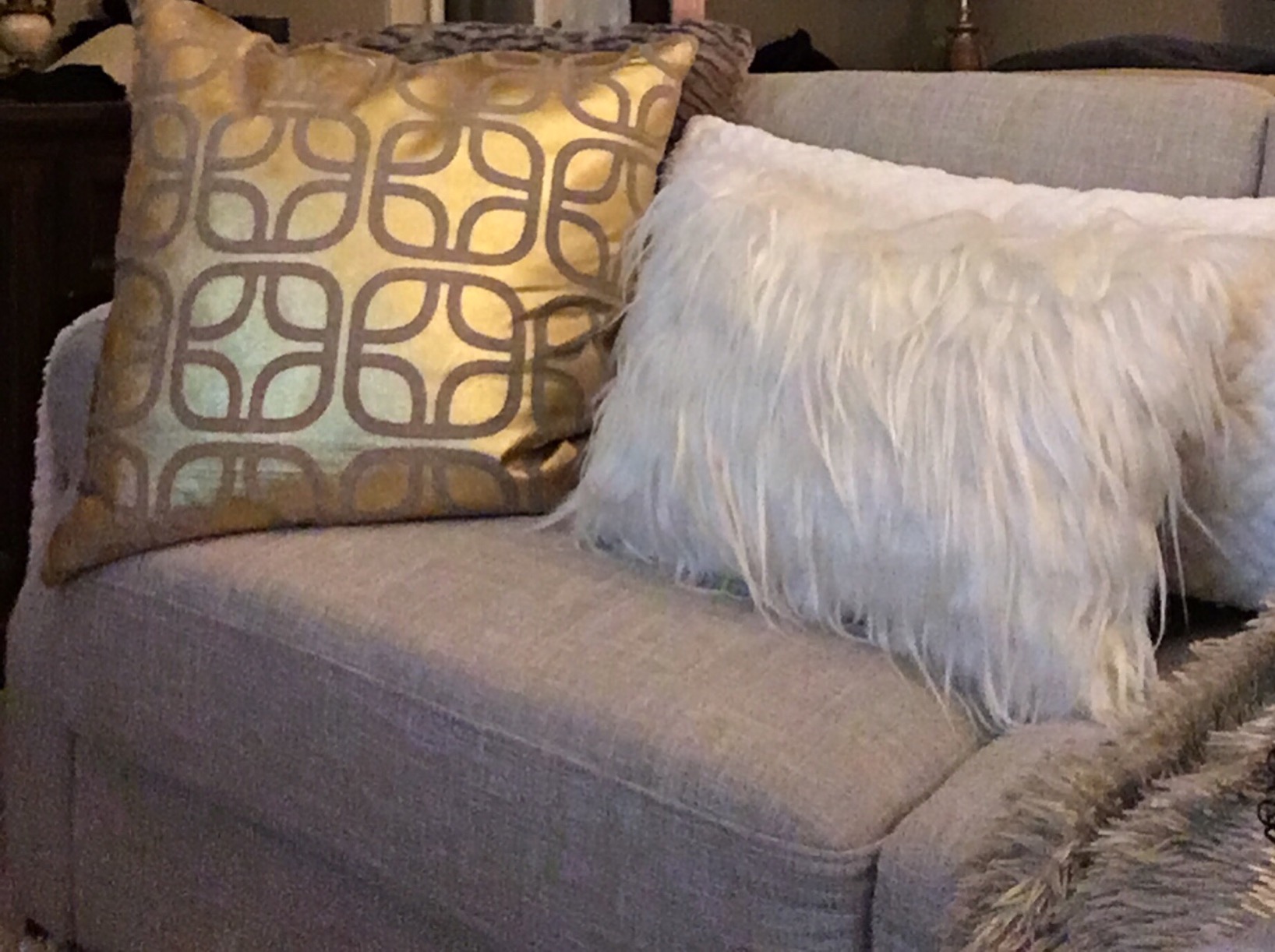 Zinus Josh Sofa Couch/Easy, Tool-Free Assembly, Beige customer photo 1
