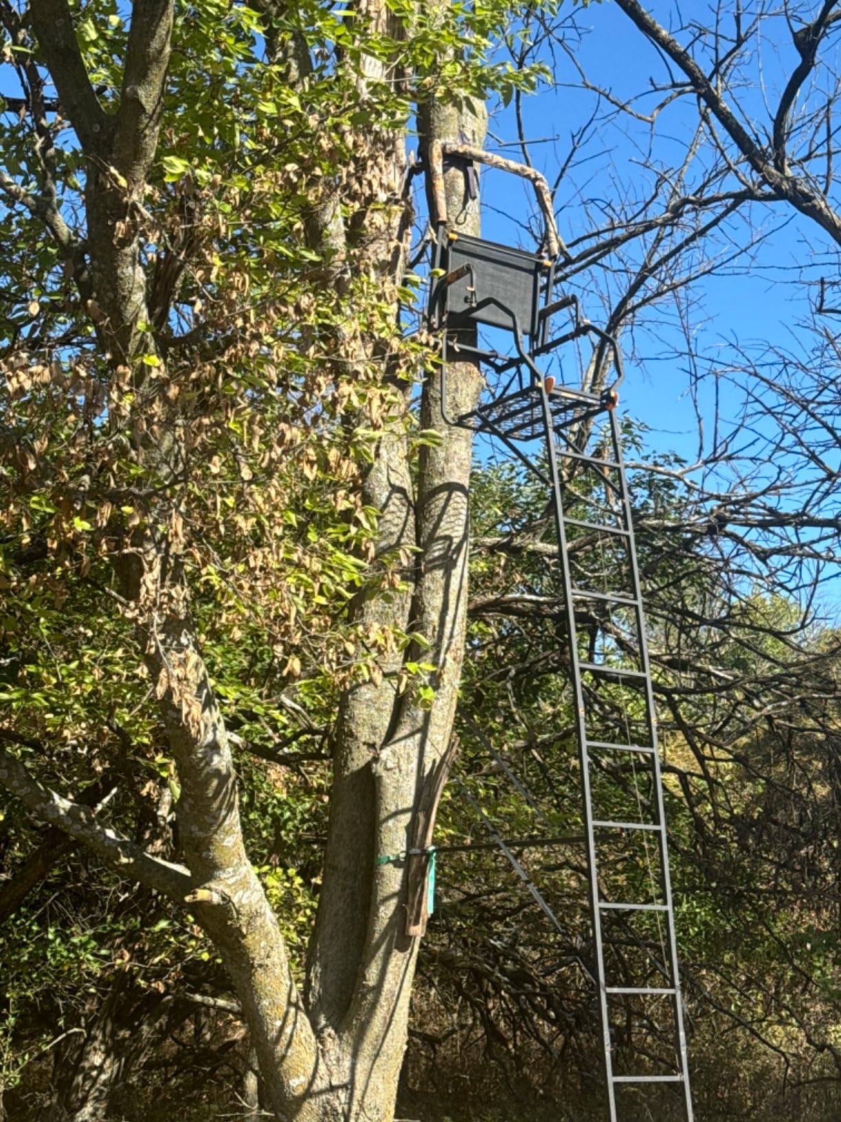 Muddy 1-Person Huntsman Deluxe Steel Ladder Tree Stand, 17 ft Tall customer photo 1