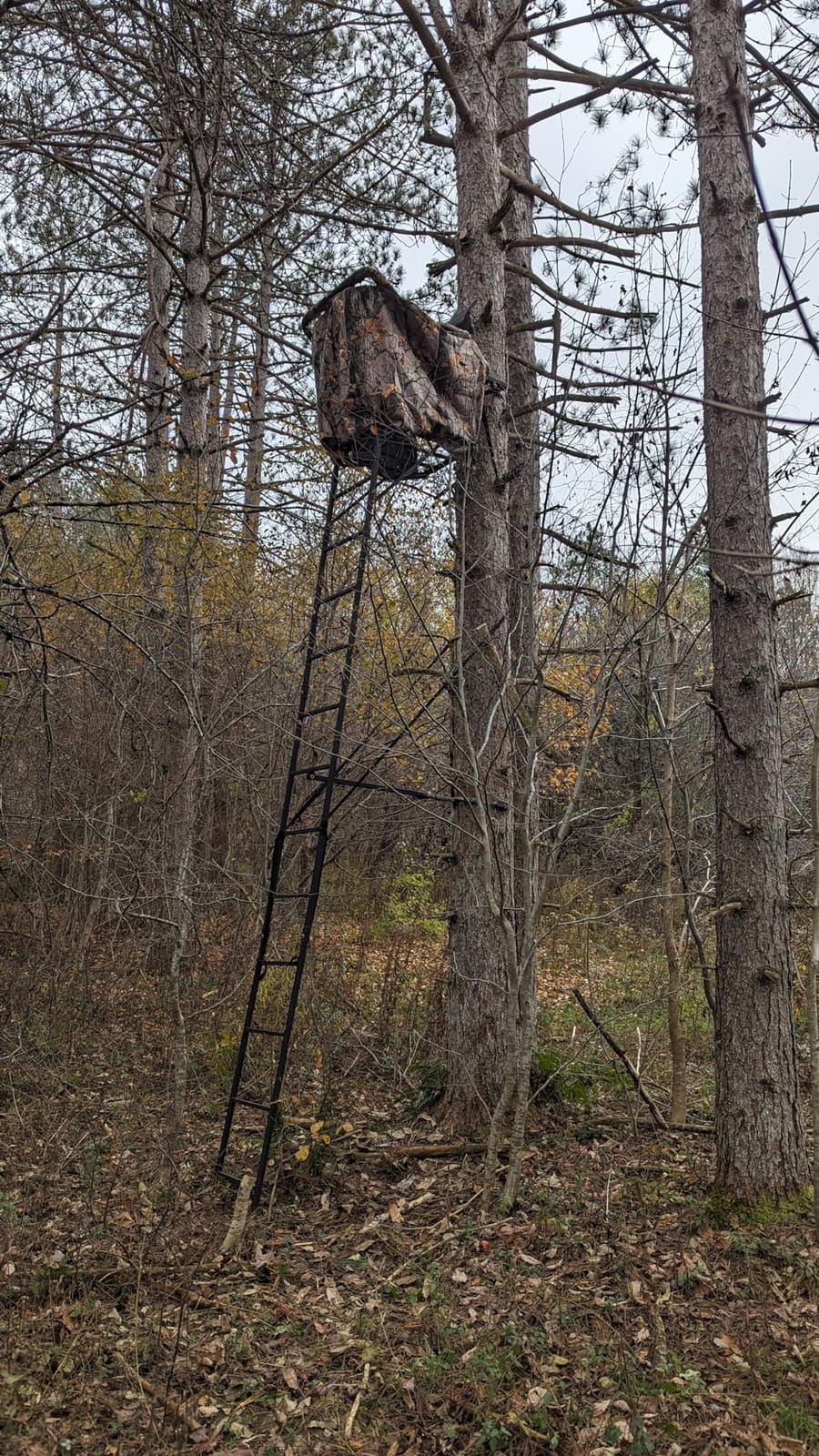 Muddy 1-Person Huntsman Deluxe Steel Ladder Tree Stand, 17 ft Tall customer photo 2