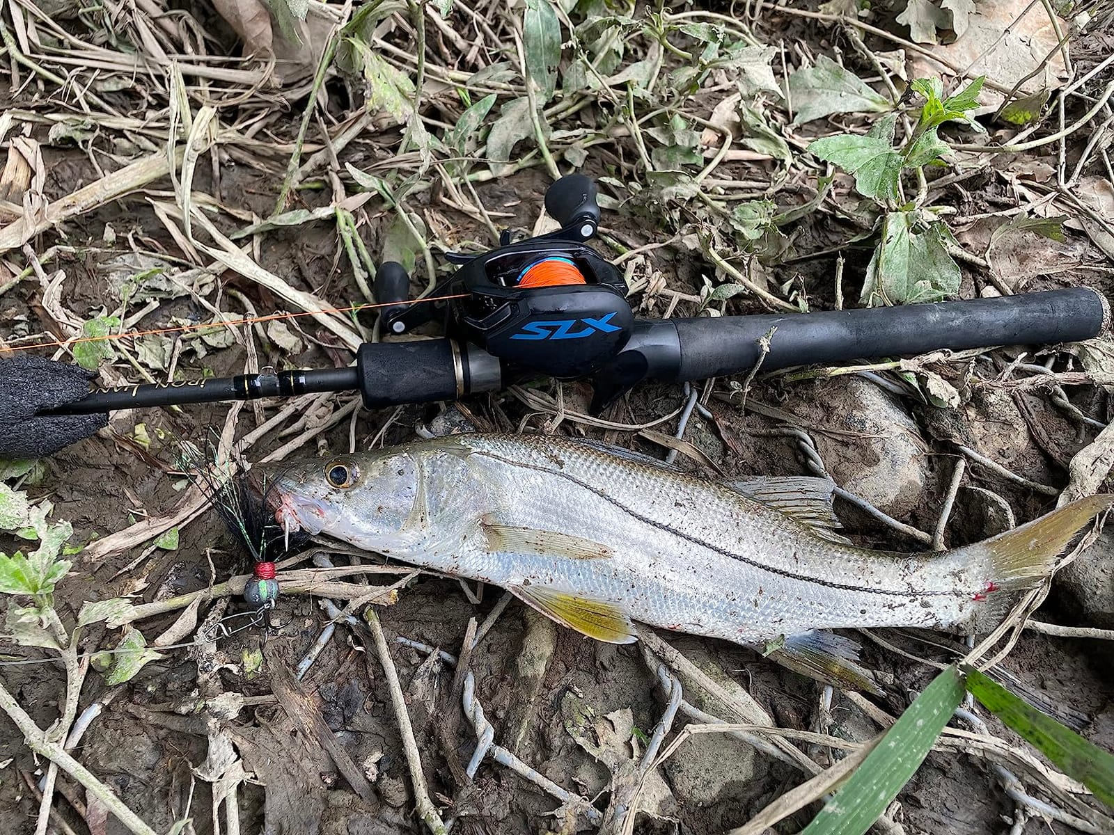 Shimano SLX Baitcasting Reels customer photo 2