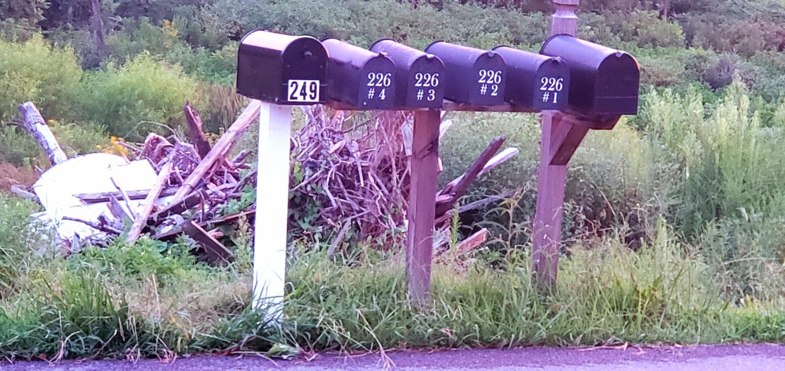Gibraltar Mailboxes OM160BEC Outback Double Door, Large Capacity Mailbox, Black customer photo 1
