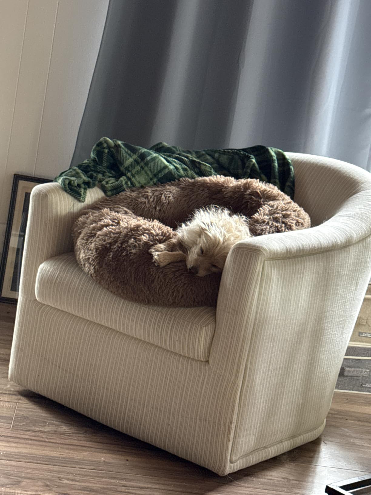 MIXJOY Orthopedic Dog Bed Comfortable Donut Cuddler Round Pet Beds Ultra Soft Washable Dog and Cat Cushion, 23in, Brown customer photo 2